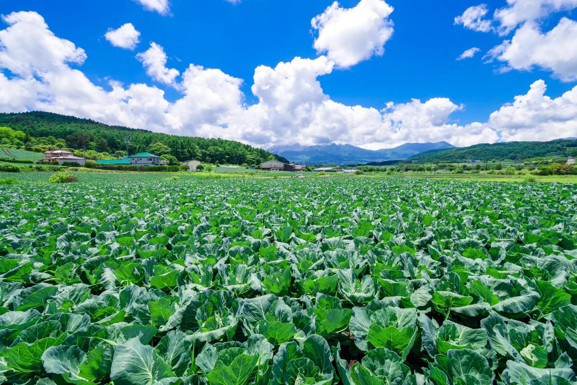 Nearby landmark in Kitakaruizawa Kogen Hotel