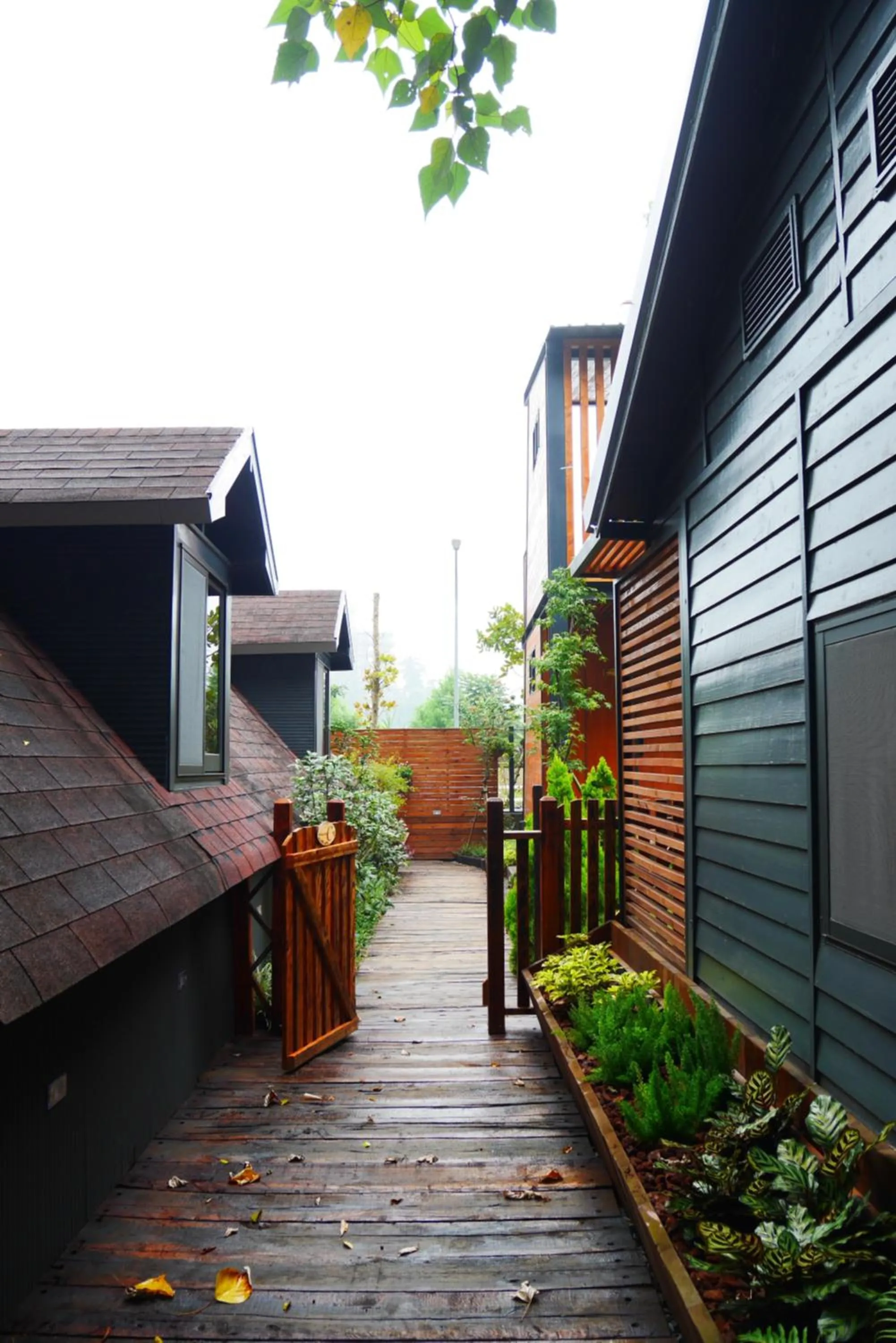 Yue Lake Backpackers