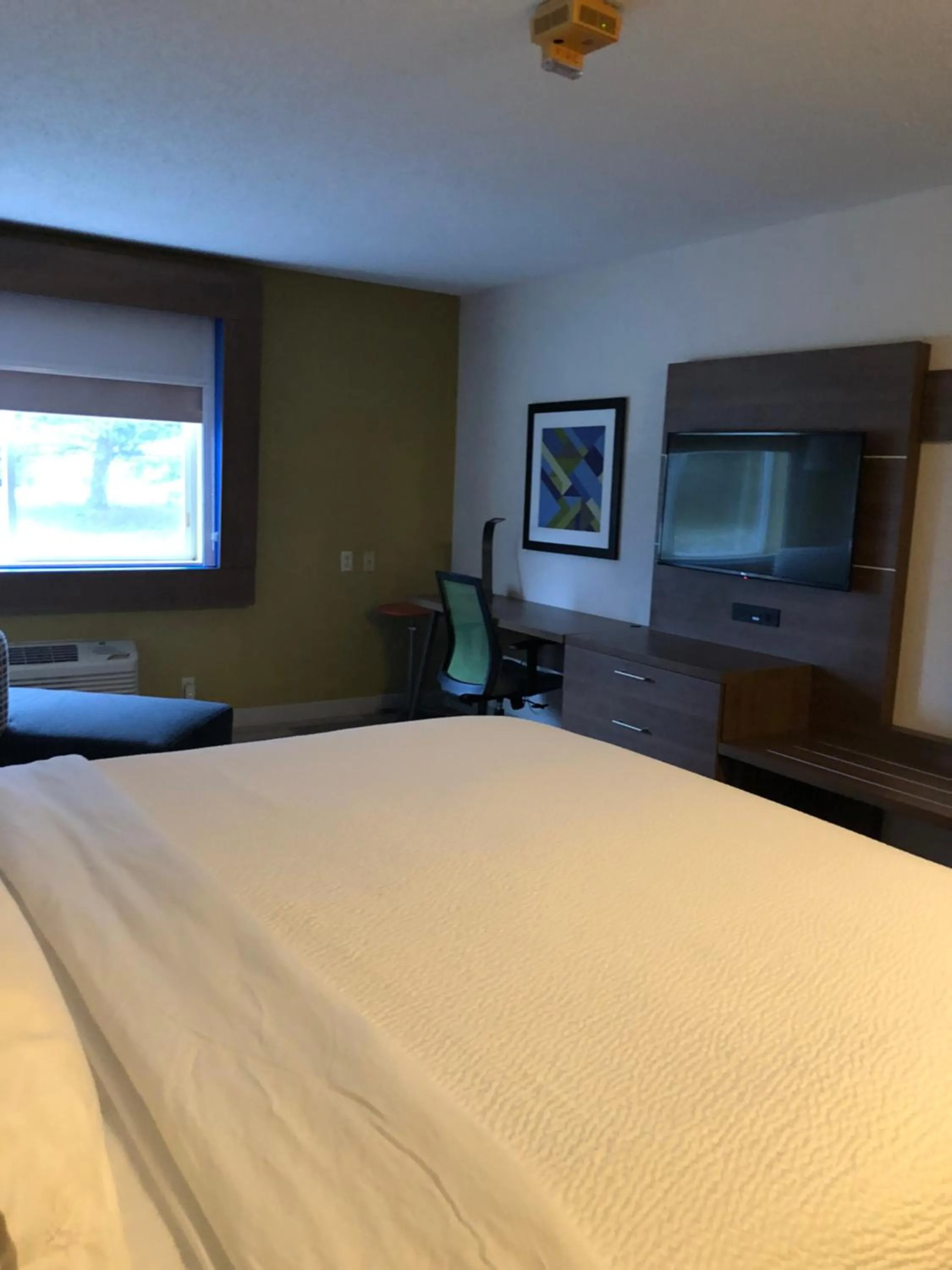 Photo of the whole room, Bed in Holiday Inn Express Mt. Vernon by IHG