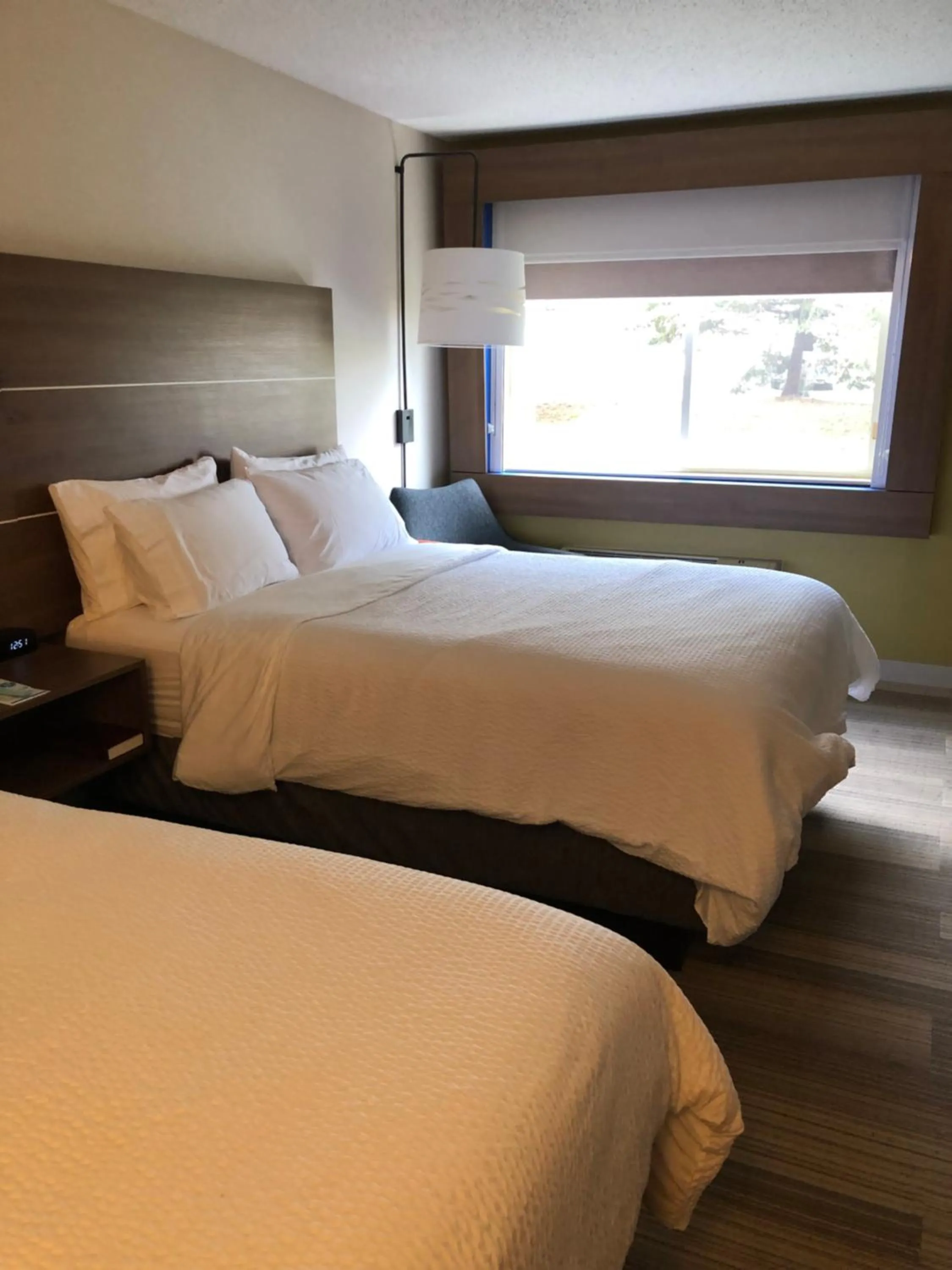 Bedroom, Bed in Holiday Inn Express Mt. Vernon by IHG