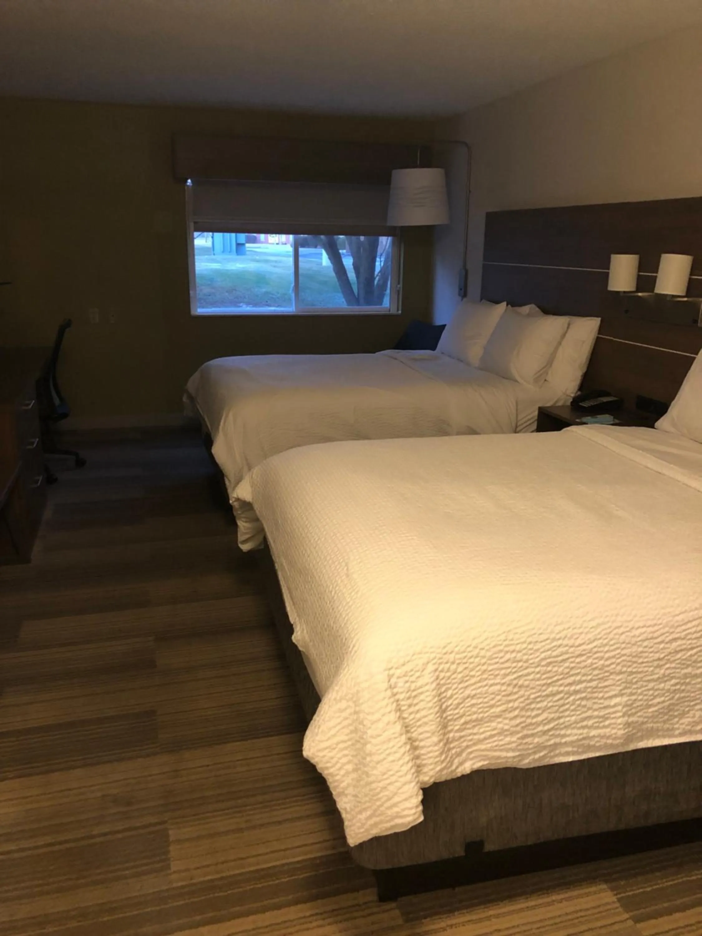 Photo of the whole room, Bed in Holiday Inn Express Mt. Vernon by IHG