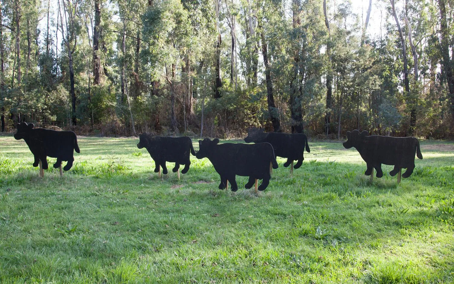 Property building in Saladin Lodge