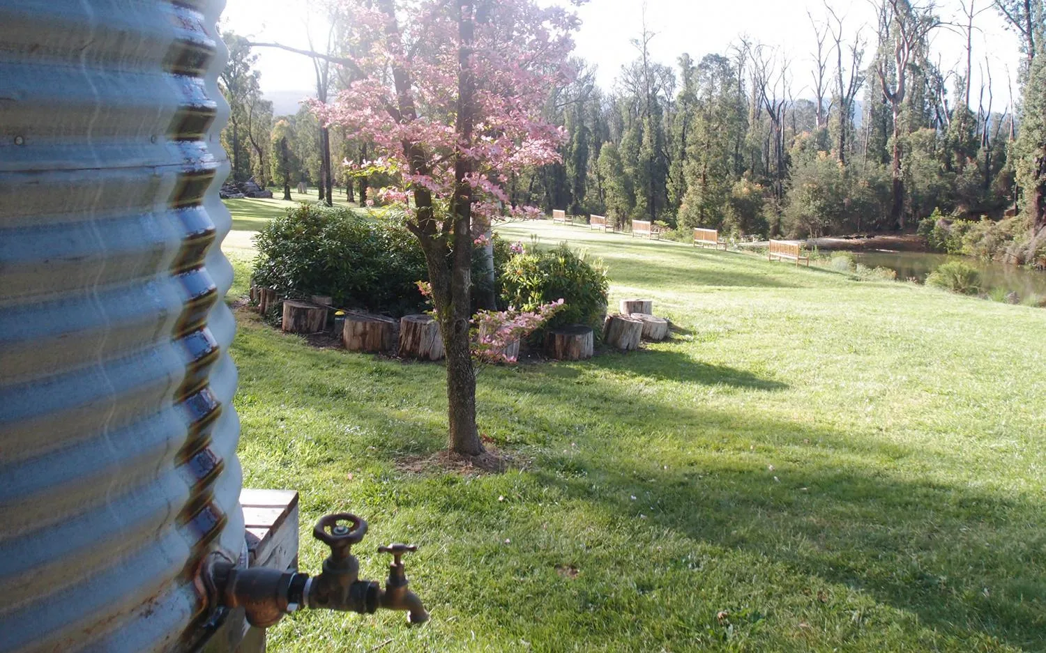 Property building in Saladin Lodge