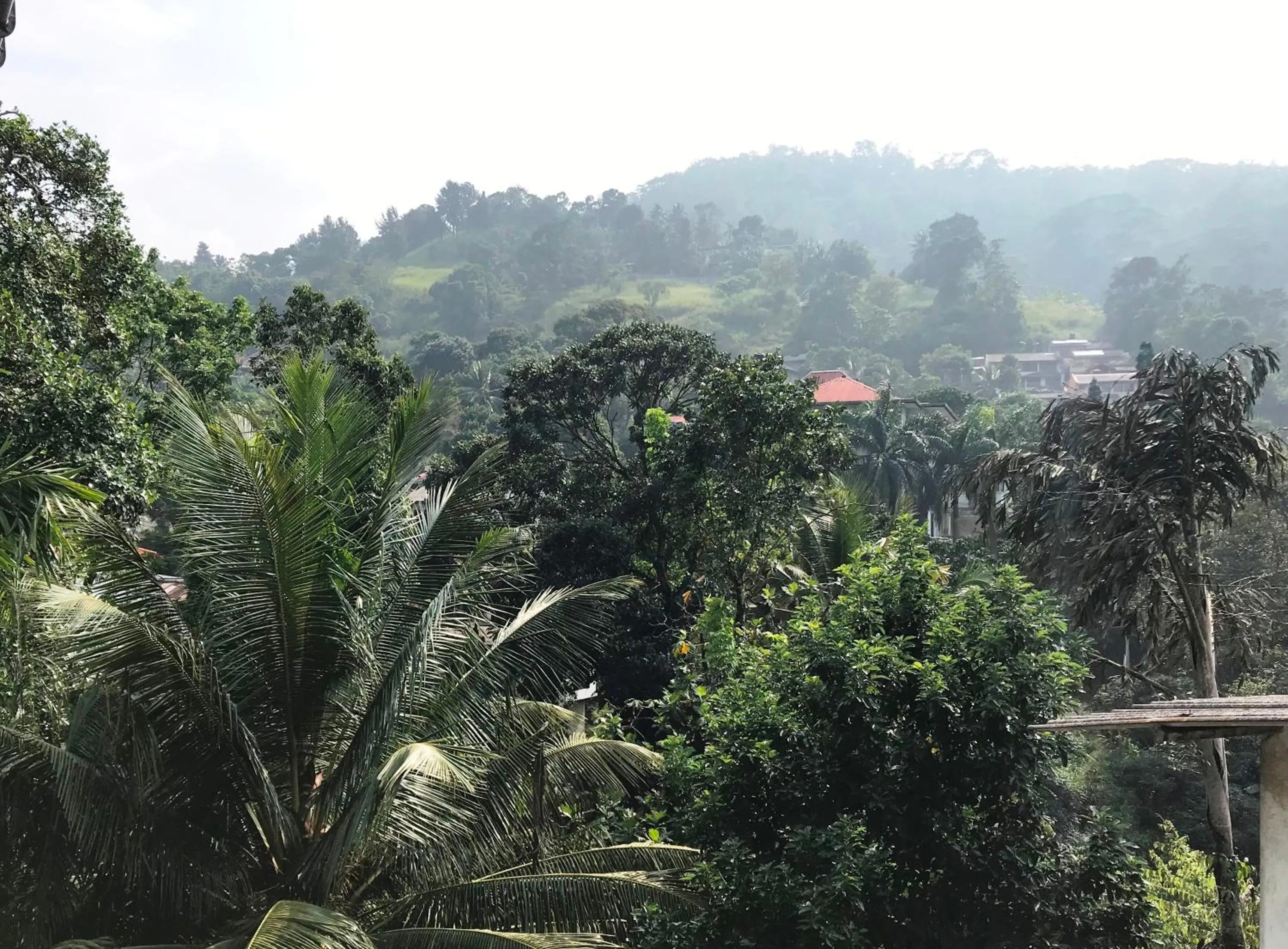 Cloud Inn Kandy Homestay - Near Temple of Tooth