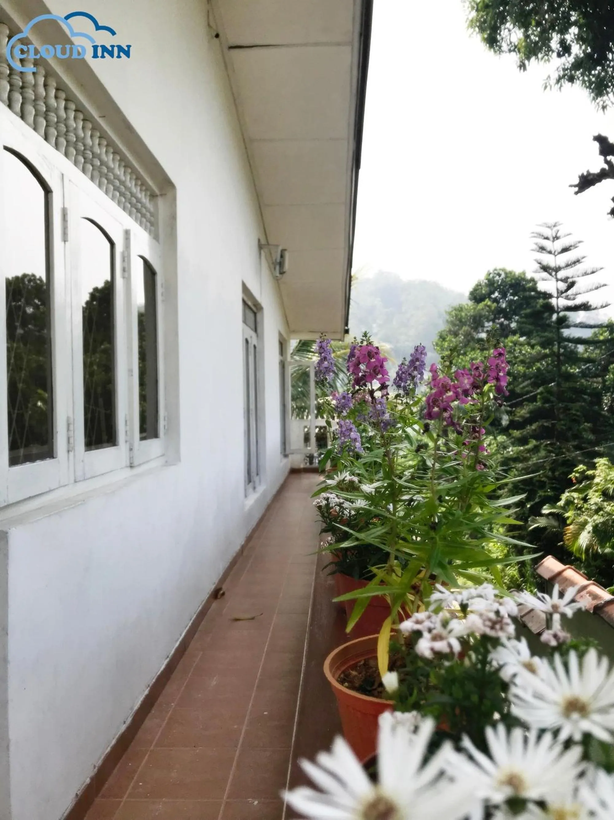 Cloud Inn Kandy Homestay - Near Temple of Tooth