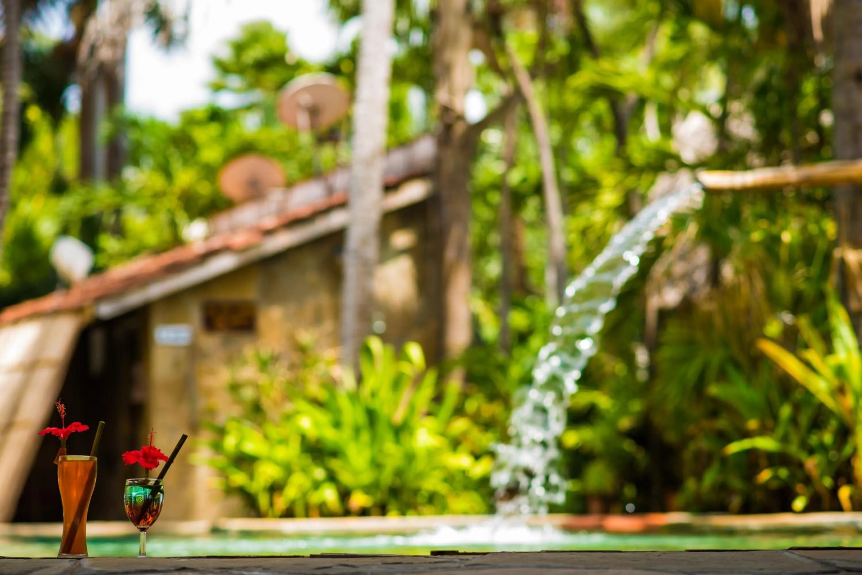 Pool view in Ziwa Beach Resort