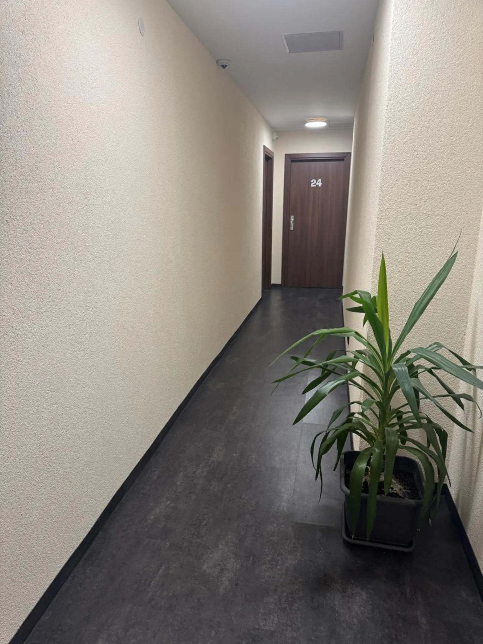 Patio in Hotel Capitol Zentrum - 24h -