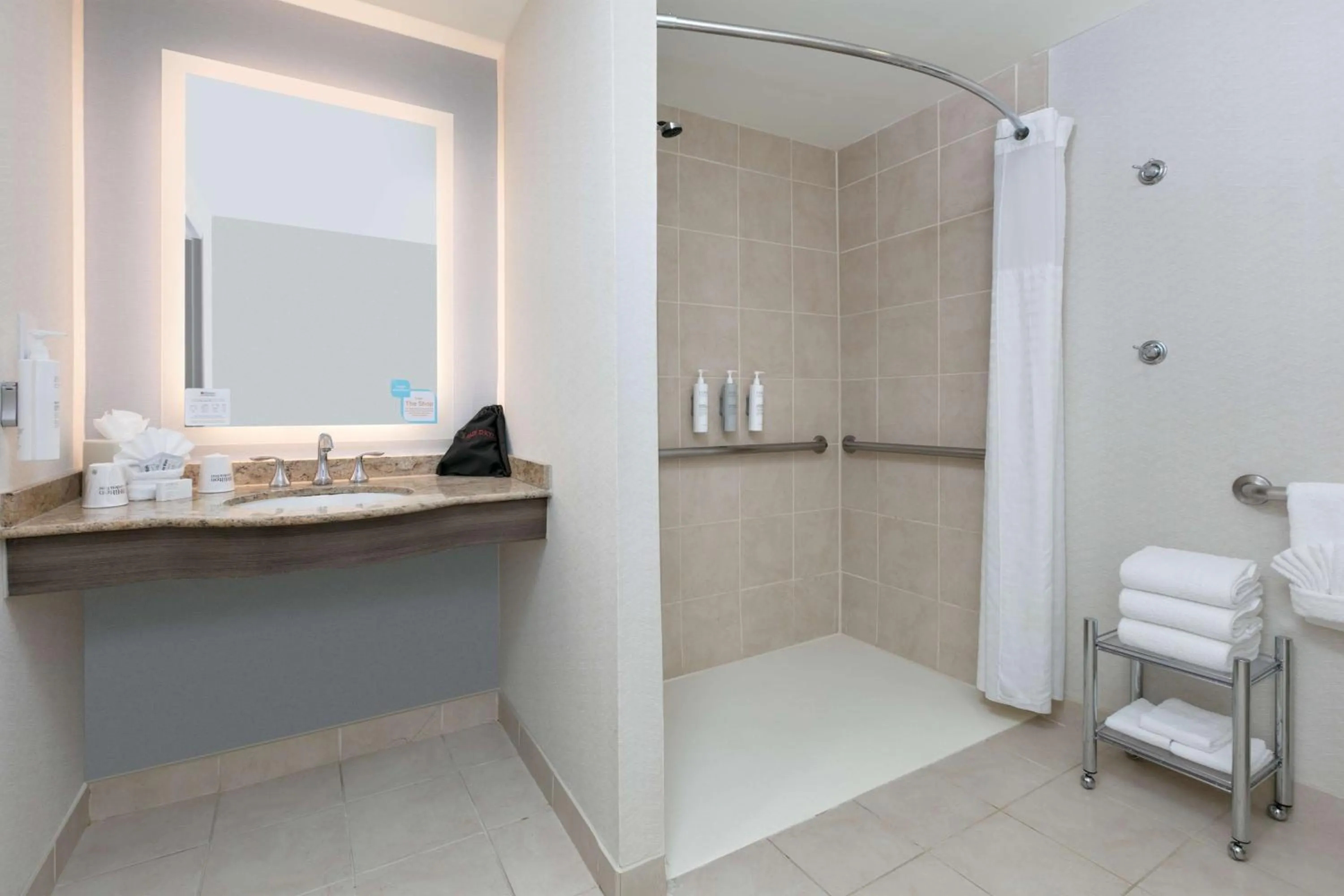 Bathroom in Hilton Garden Inn Dallas Arlington