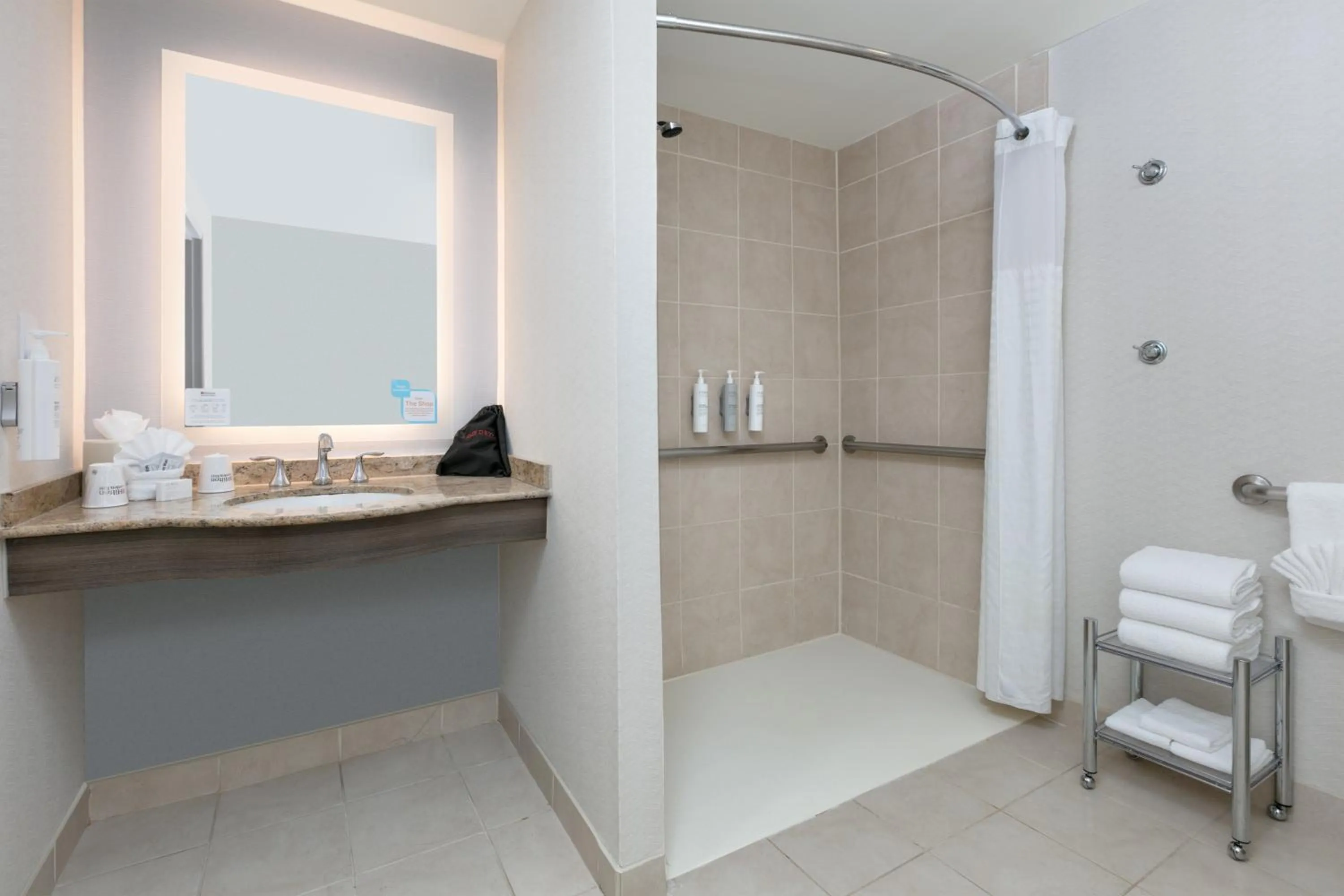 Bathroom in Hilton Garden Inn Dallas Arlington