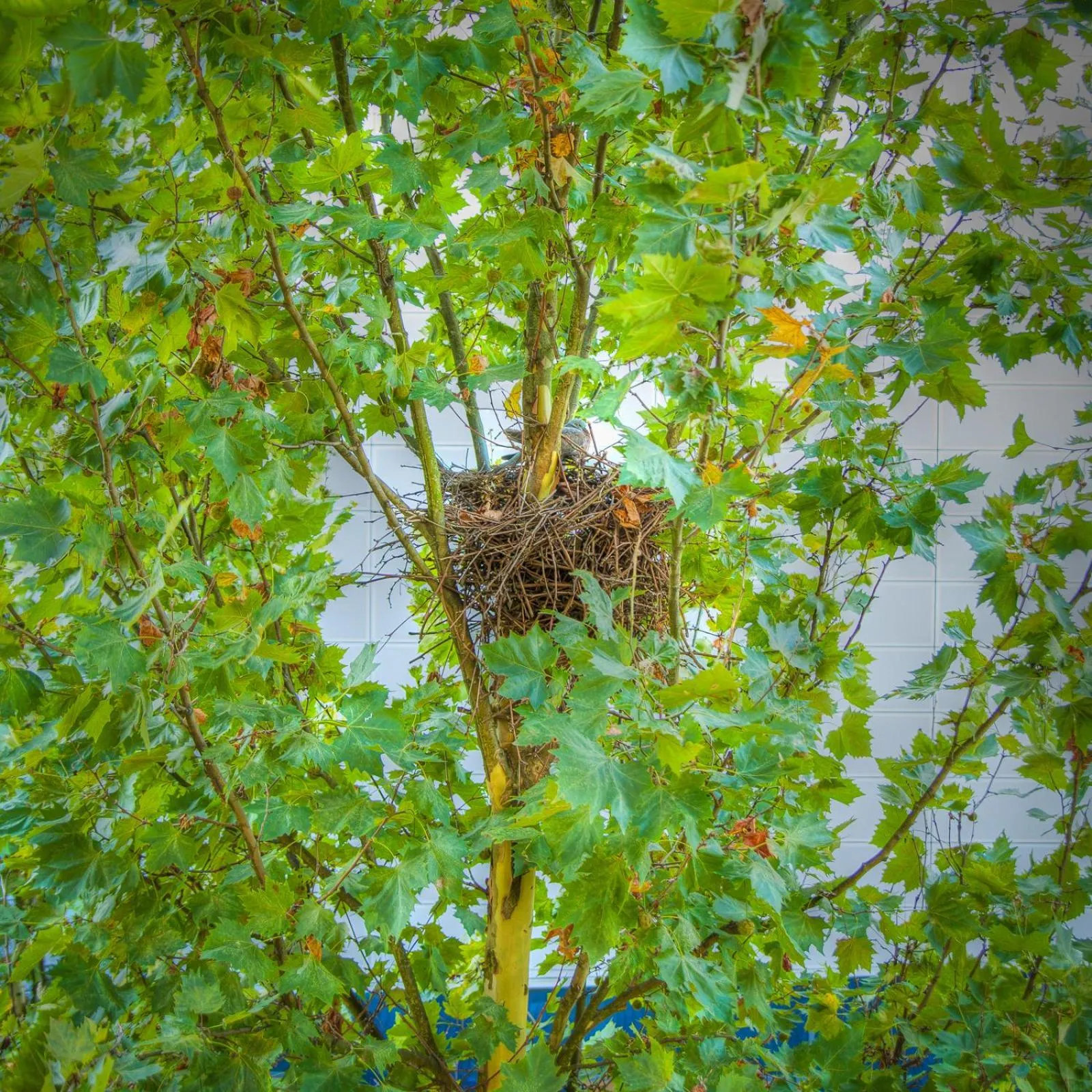 Spring in Unperfekthotel CoWorkingHotel