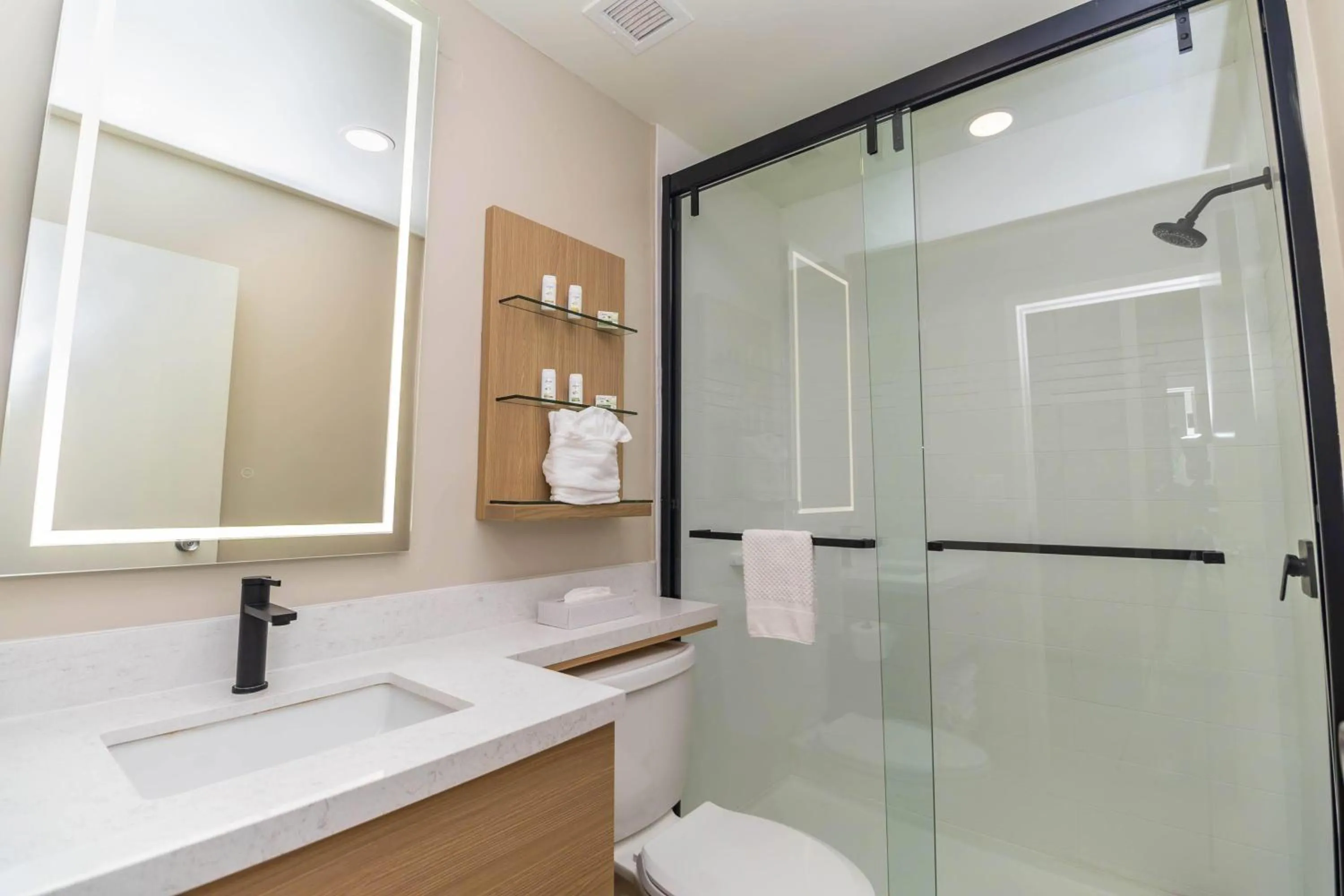 Bathroom in Ramada by Wyndham Davenport Orlando South