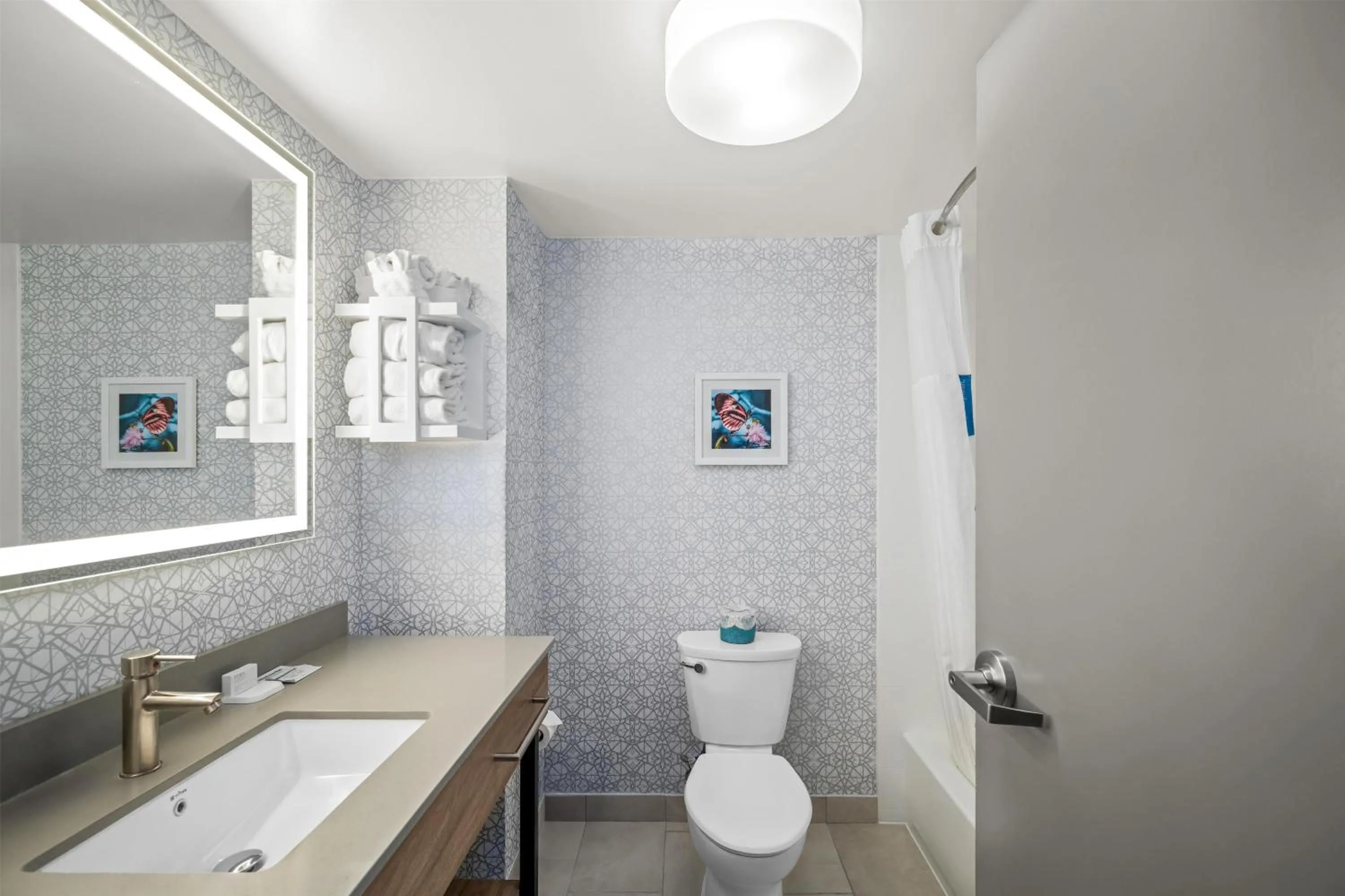 Bathroom in Hampton Inn & Suites Ft. Lauderdale/West-Sawgrass/Tamarac, FL