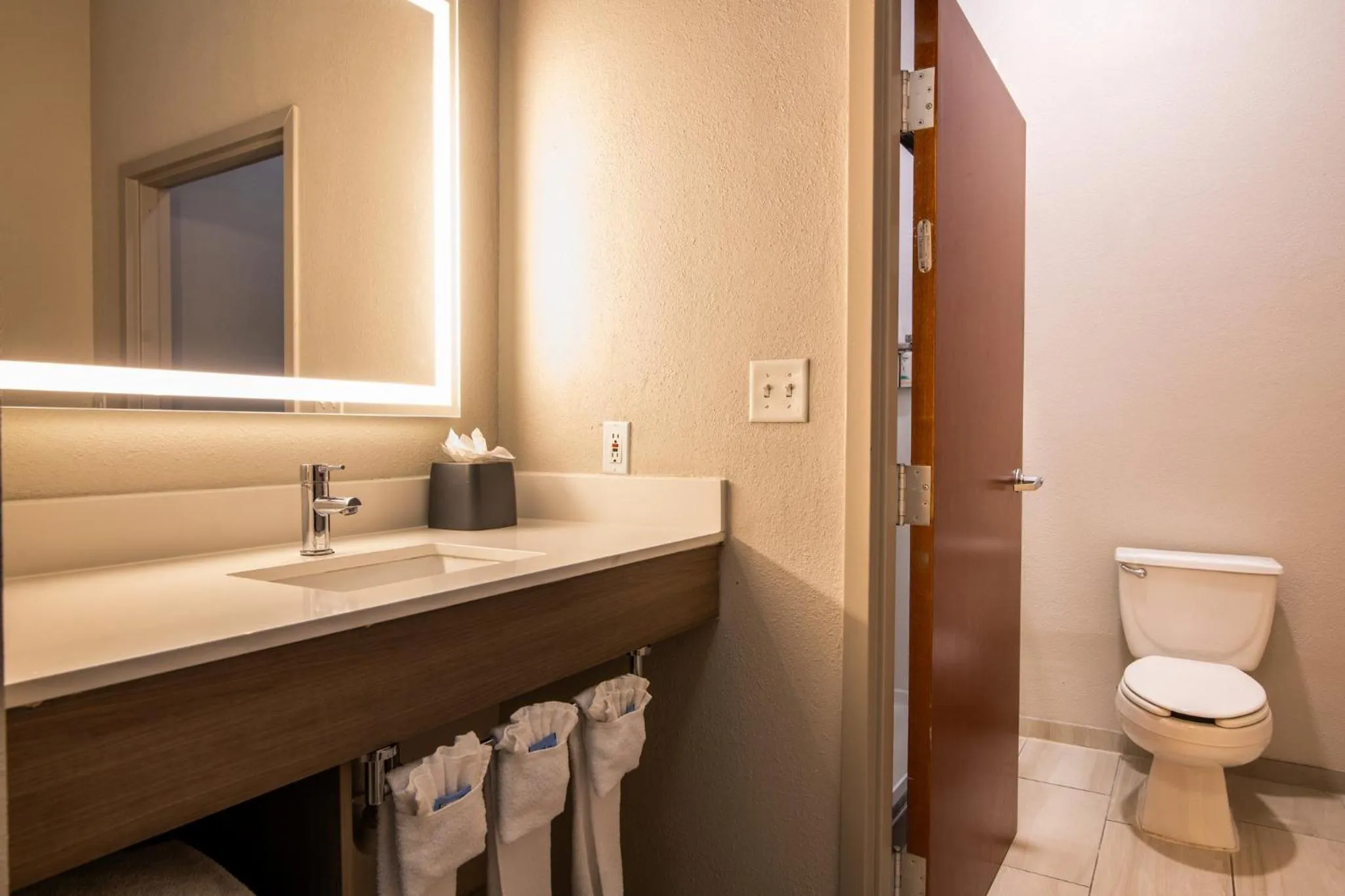 Bathroom in Holiday Inn Express & Suites College Station by IHG