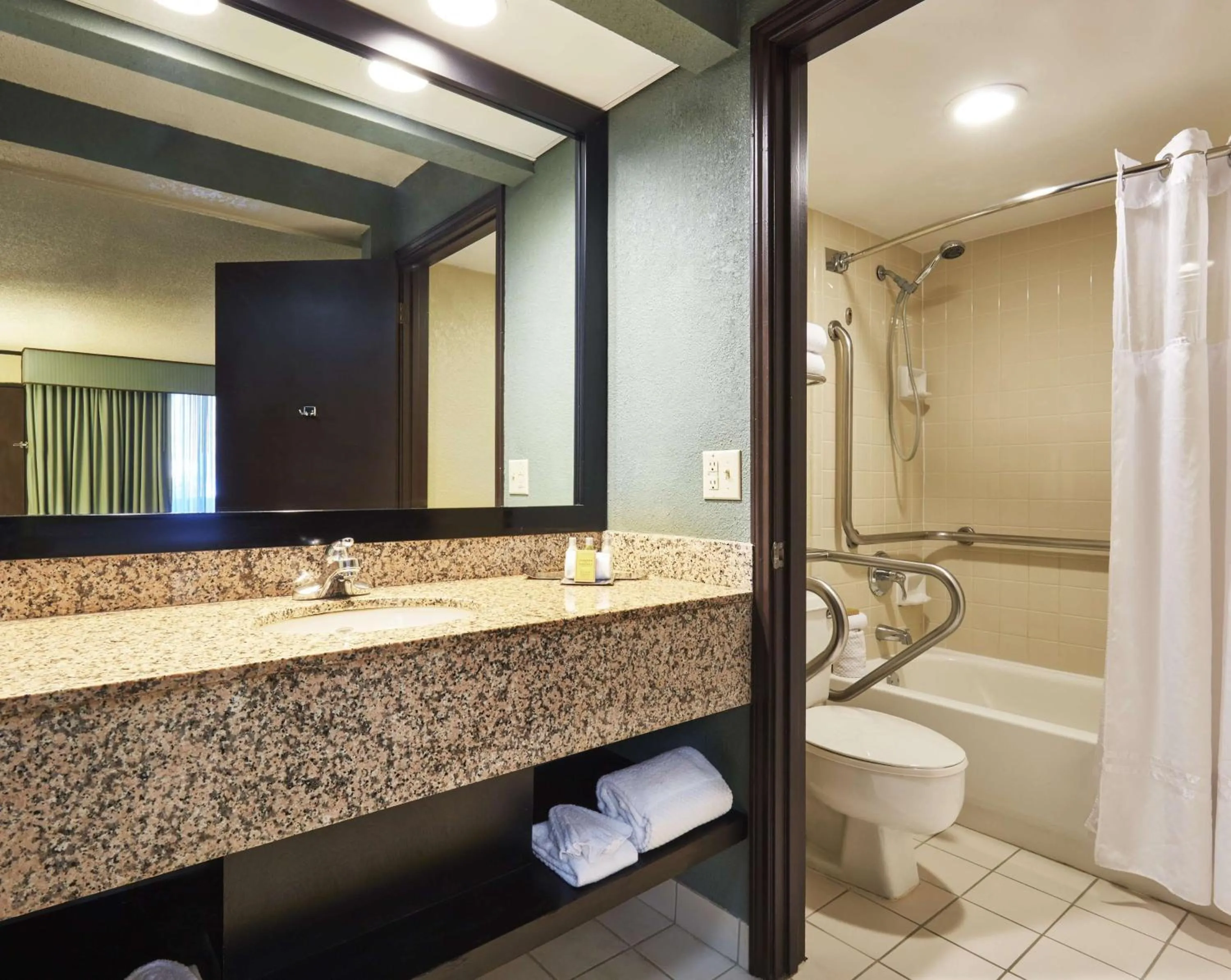 Bathroom in DoubleTree by Hilton Hotel Orlando at SeaWorld