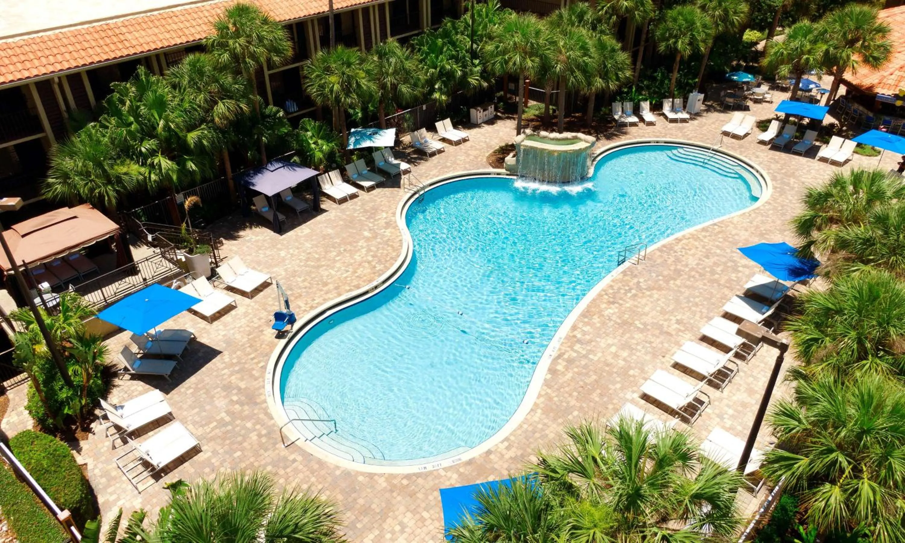 Pool view in DoubleTree by Hilton Hotel Orlando at SeaWorld
