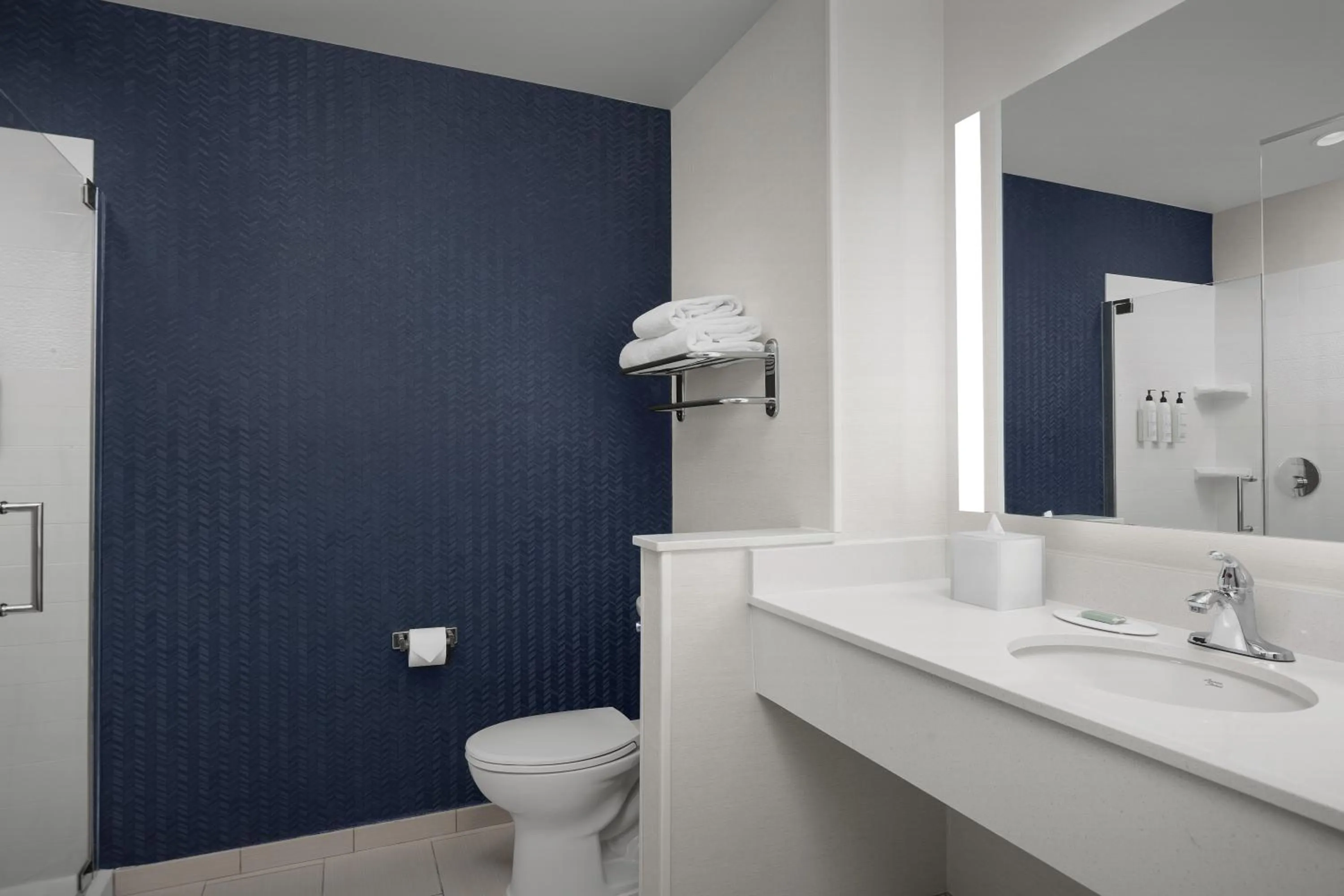 Shower in Fairfield Inn & Suites by Marriott Atlanta Stockbridge