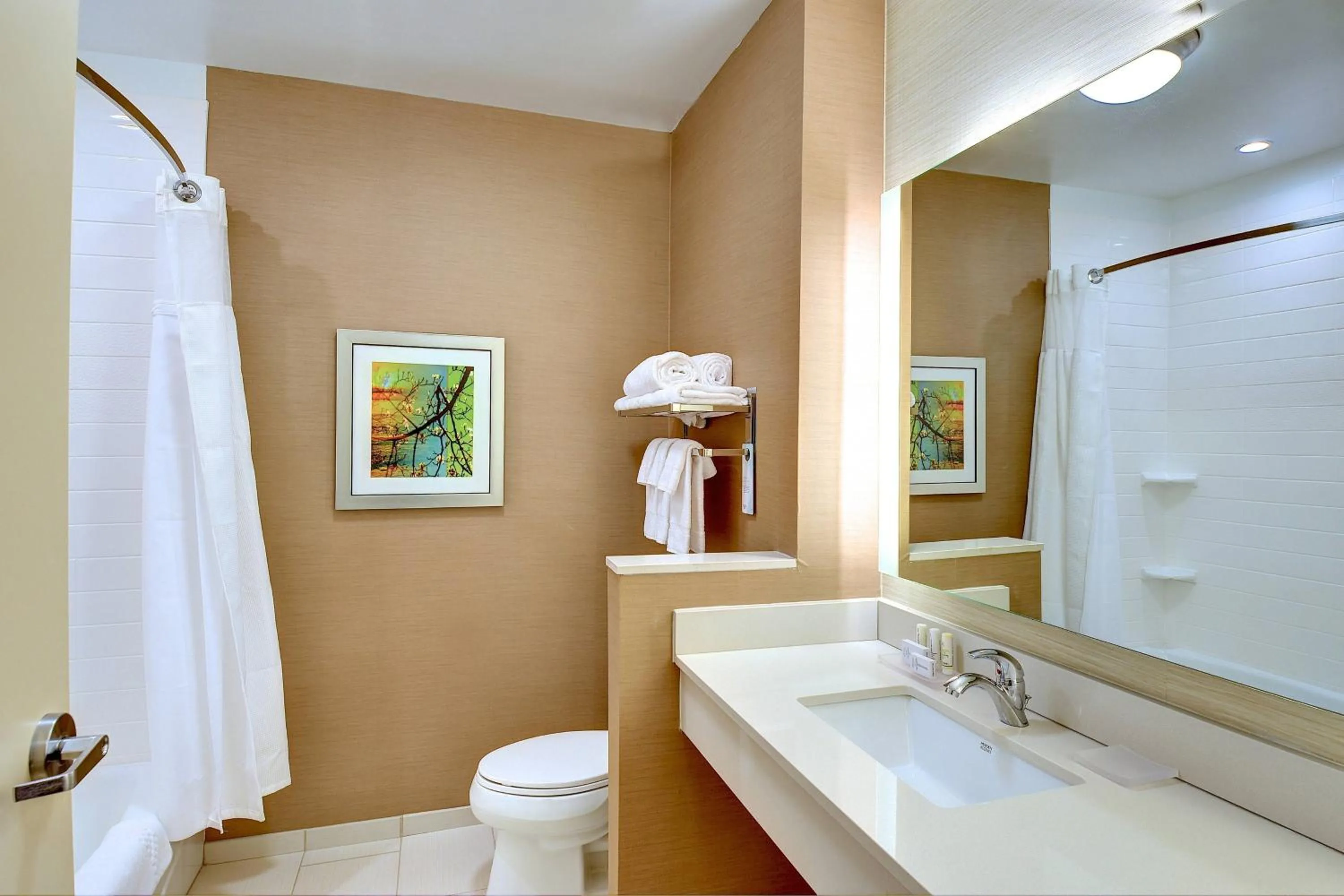 Bathroom in Fairfield Inn & Suites by Marriott Nashville Downtown-MetroCenter