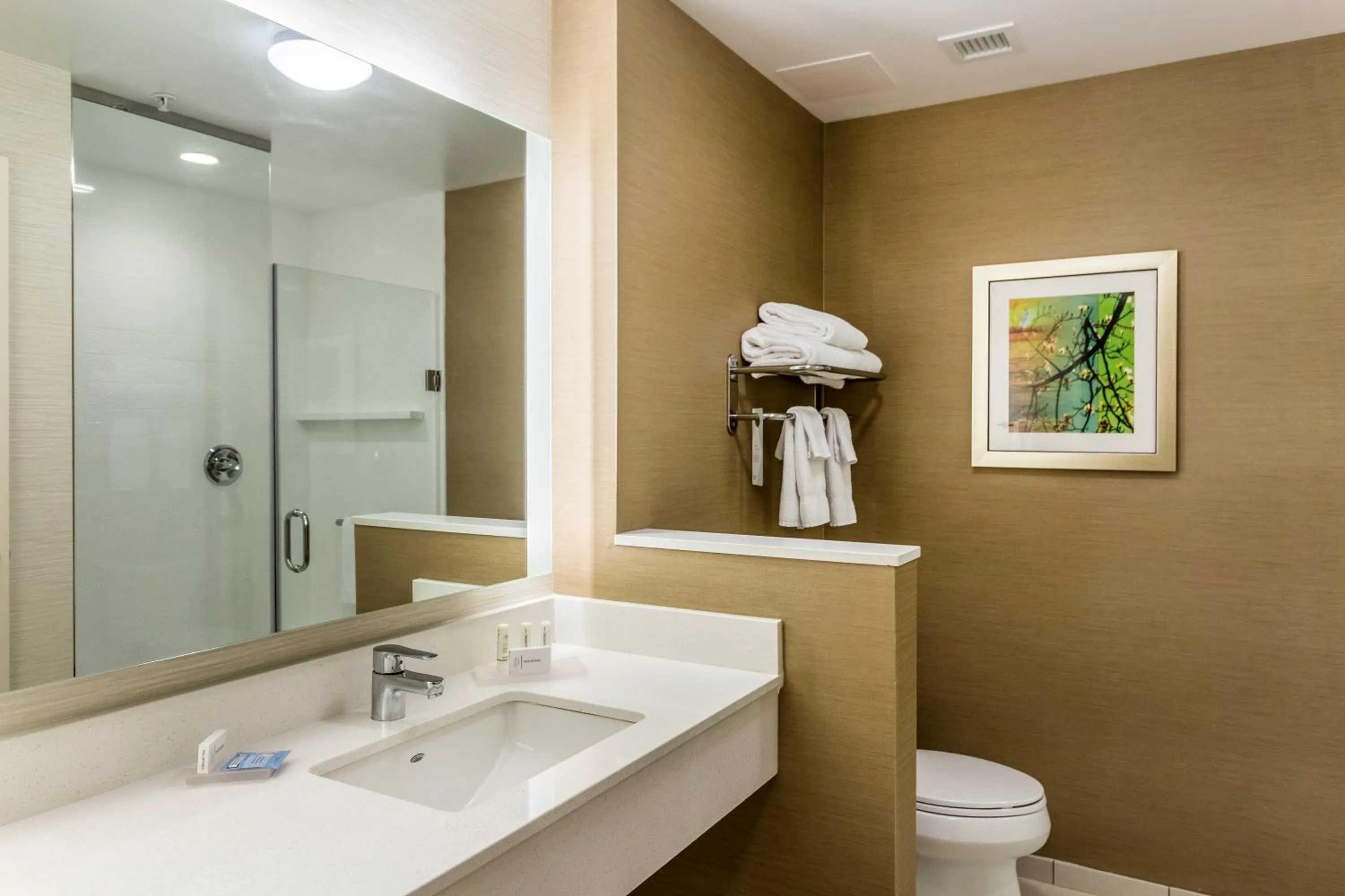 Bathroom in Fairfield Inn & Suites by Marriott Butte