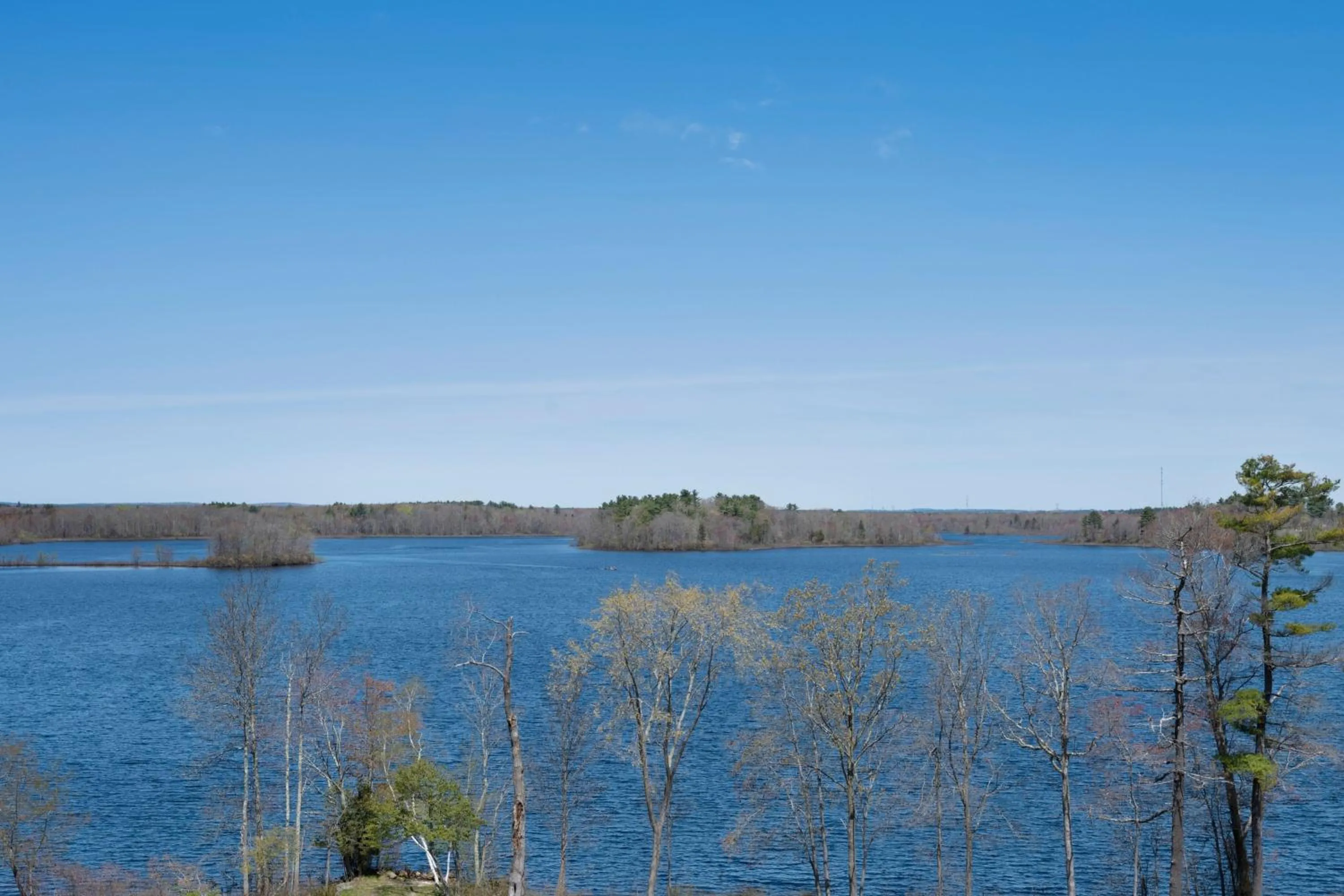 Other in Residence Inn by Marriott Boston Bridgewater
