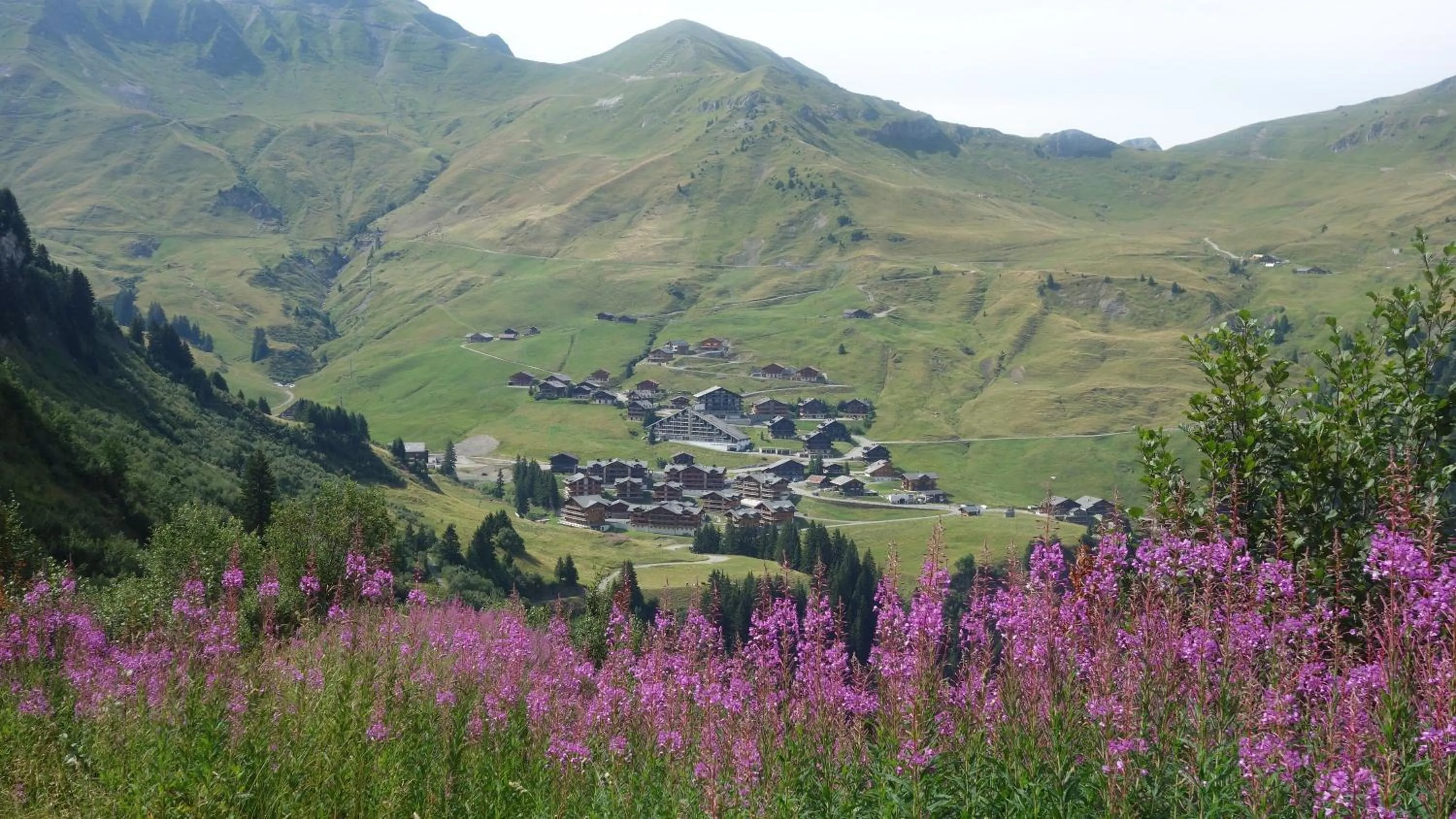 Natural landscape in Hotel L'Etable