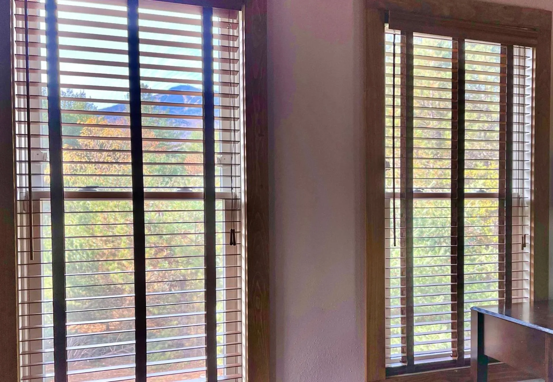 View (from property/room) in Whiteface Mountain Chalet