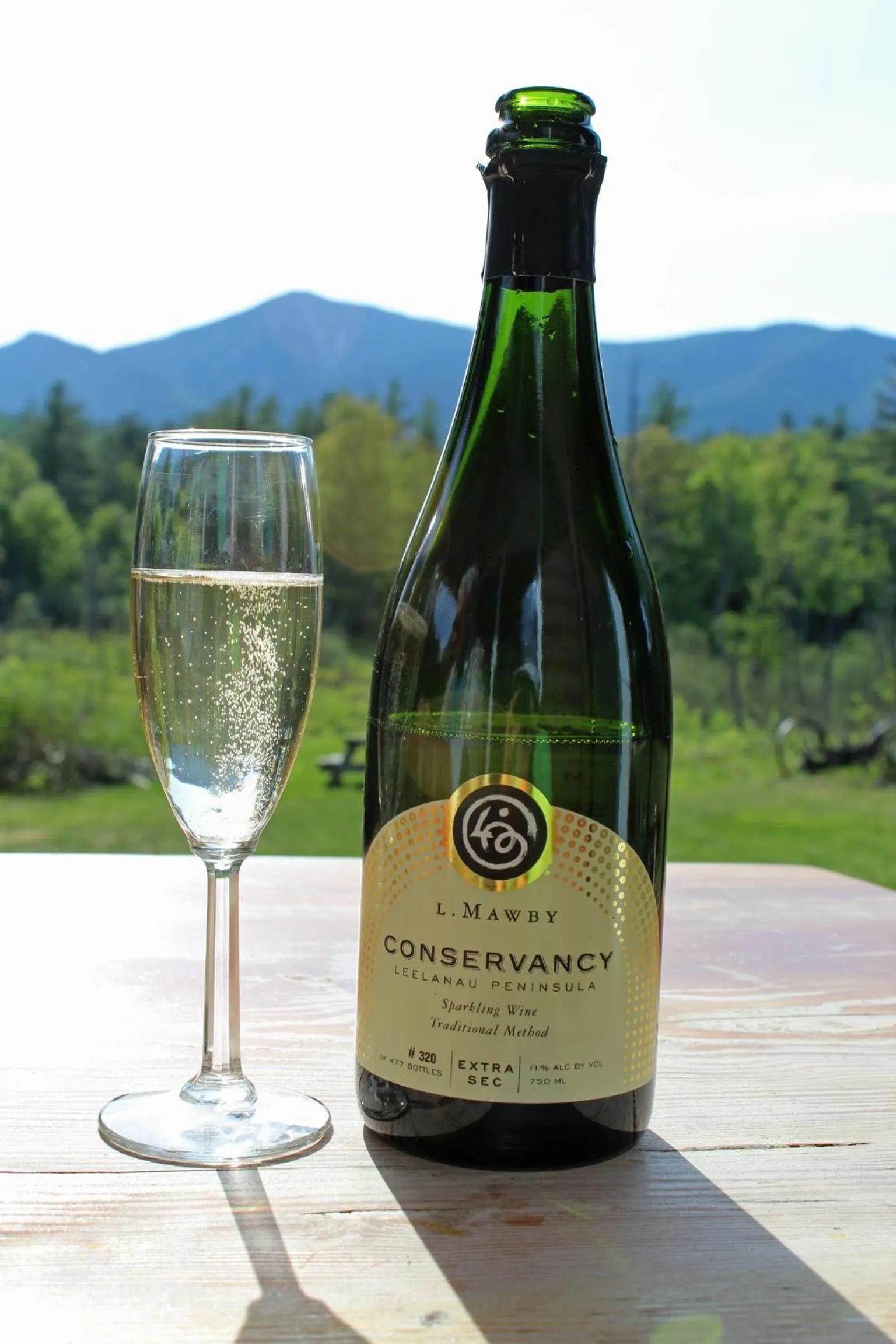 Spring in Esther Mountain Chalet