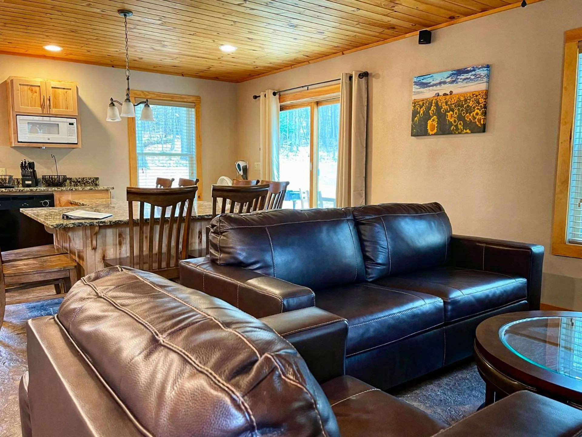 Living room in Cascade Mountain Chalet