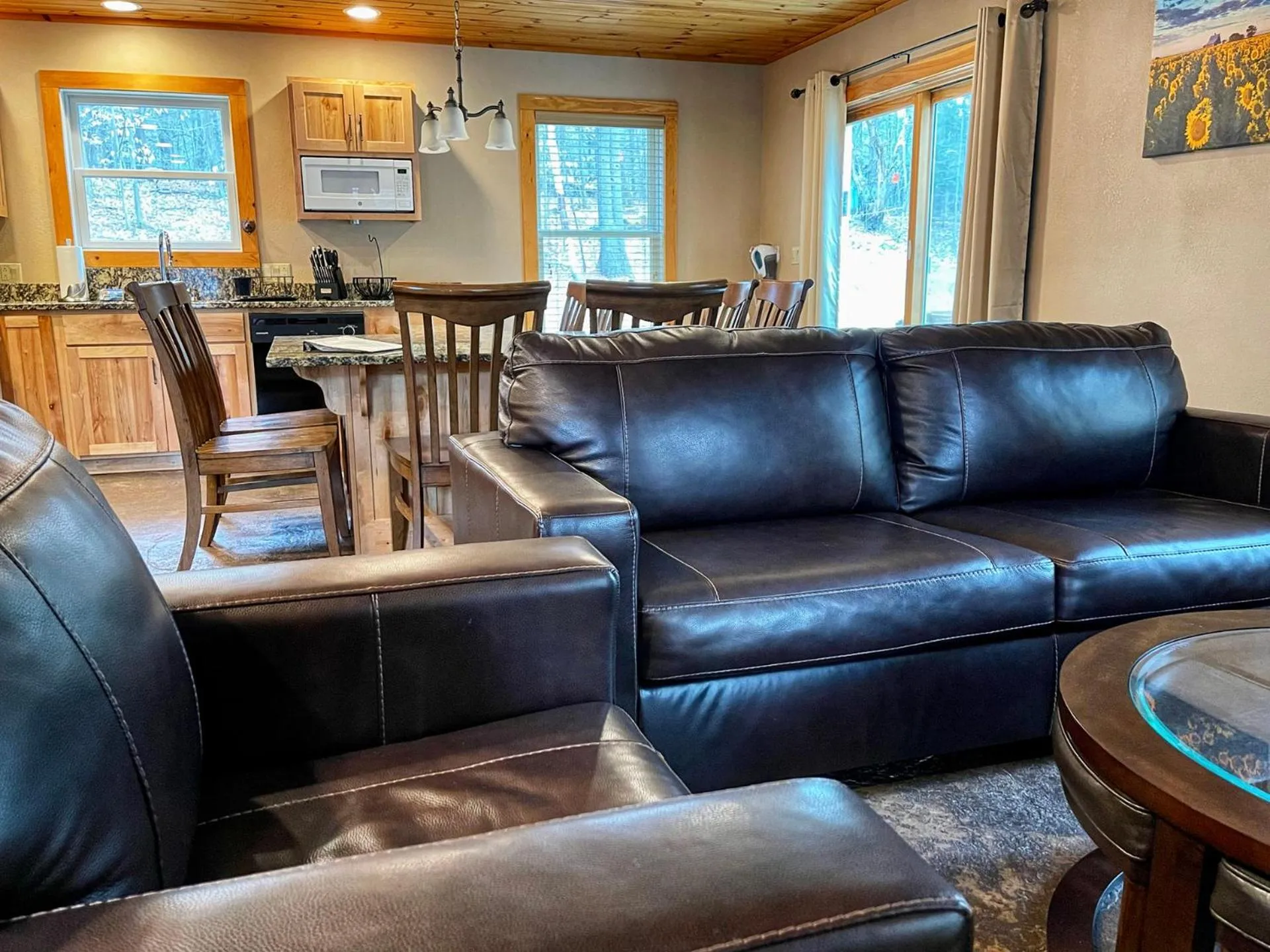 Living room in Cascade Mountain Chalet