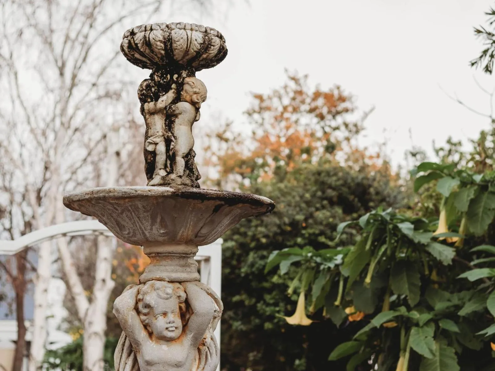Garden view in Le Petit Paris