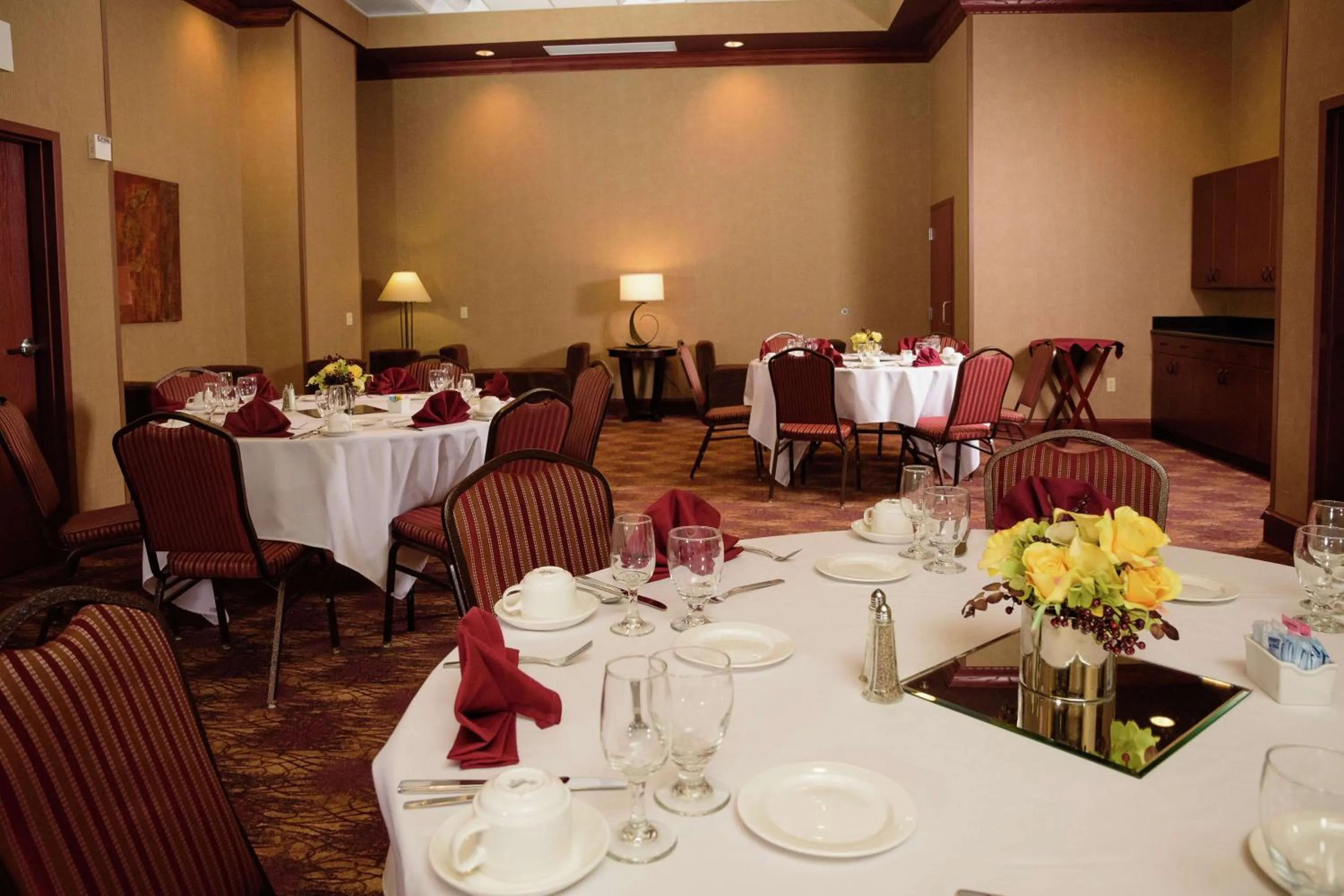 Meeting/conference room in Embassy Suites by Hilton Minneapolis North