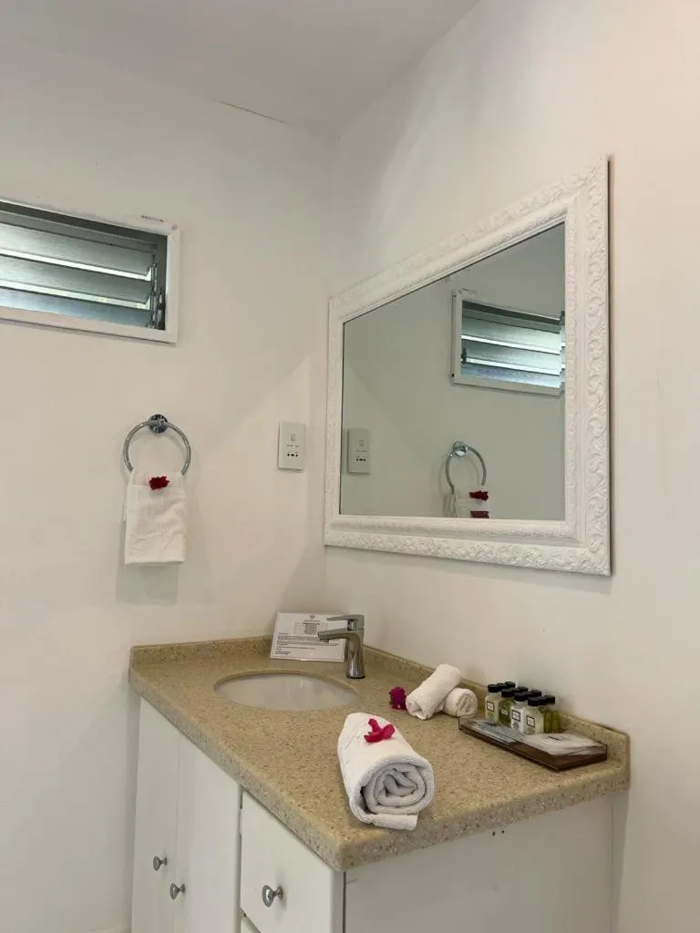 Kitchen or kitchenette in Bequia Plantation Hotel