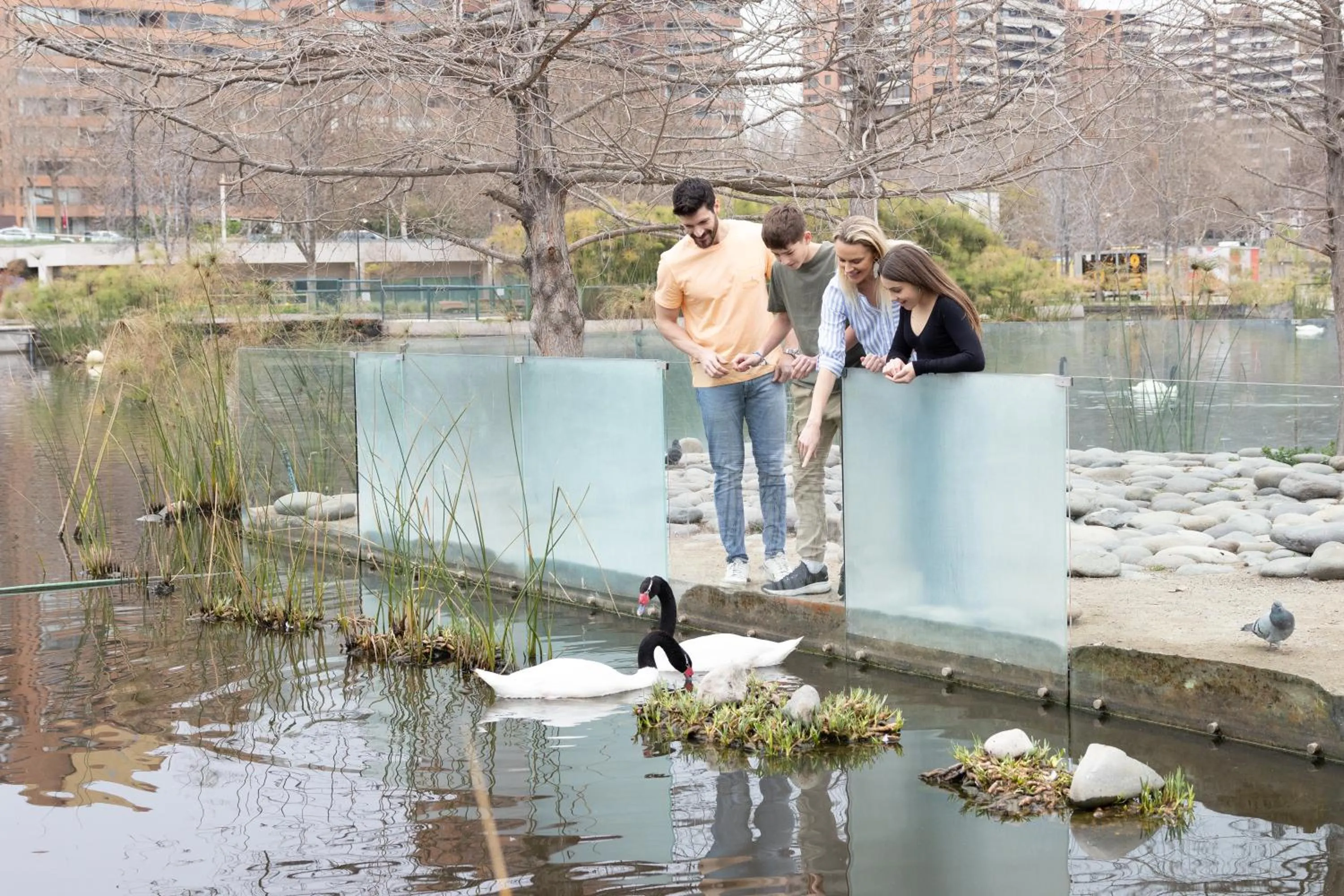 Nearby landmark in Holiday Inn Express Santiago Las Condes by IHG