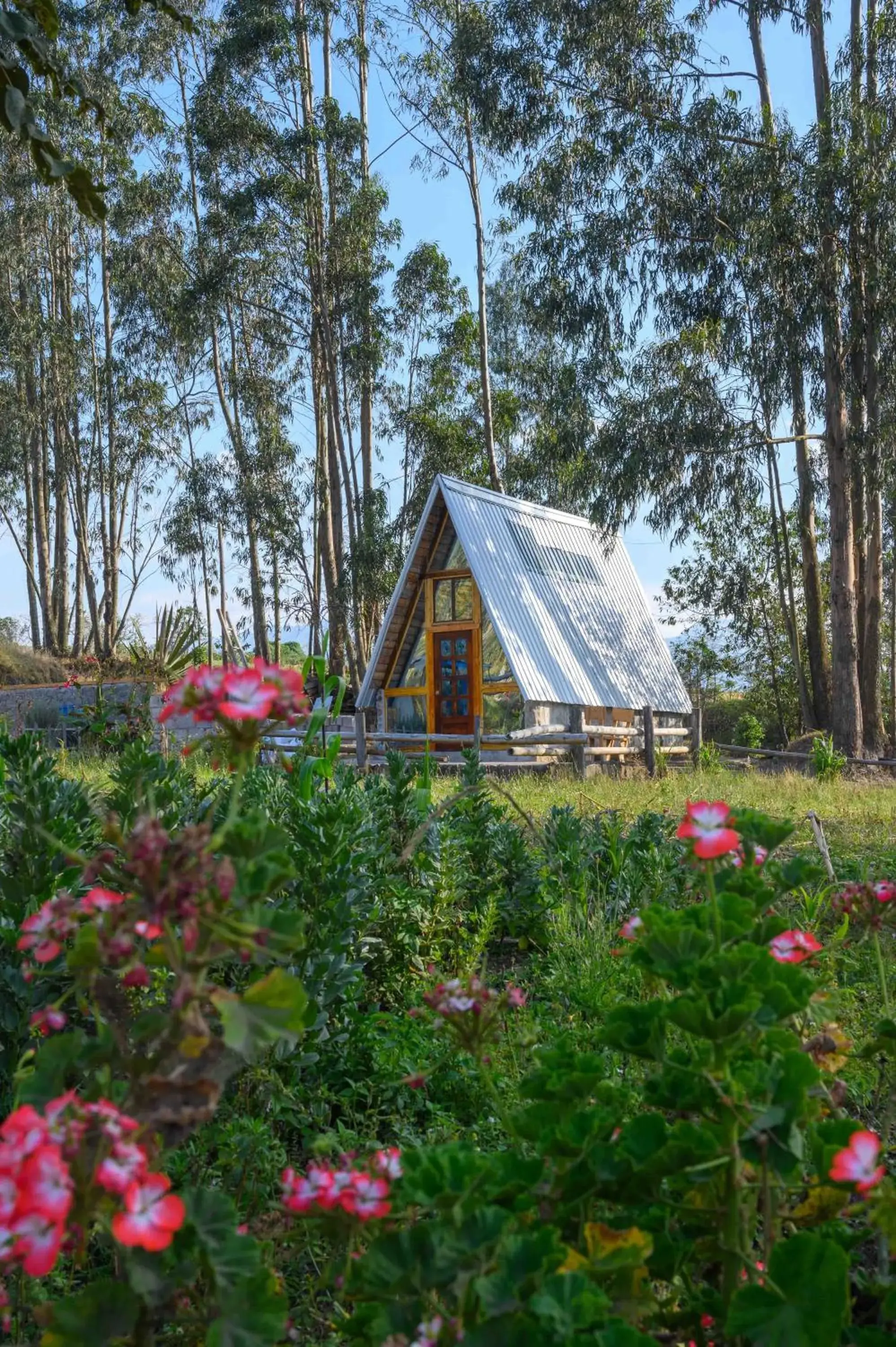 Double Room with Shared Bathroom in El Tio Hostal Double Room with Shared Bathroom in El Tio Hostal