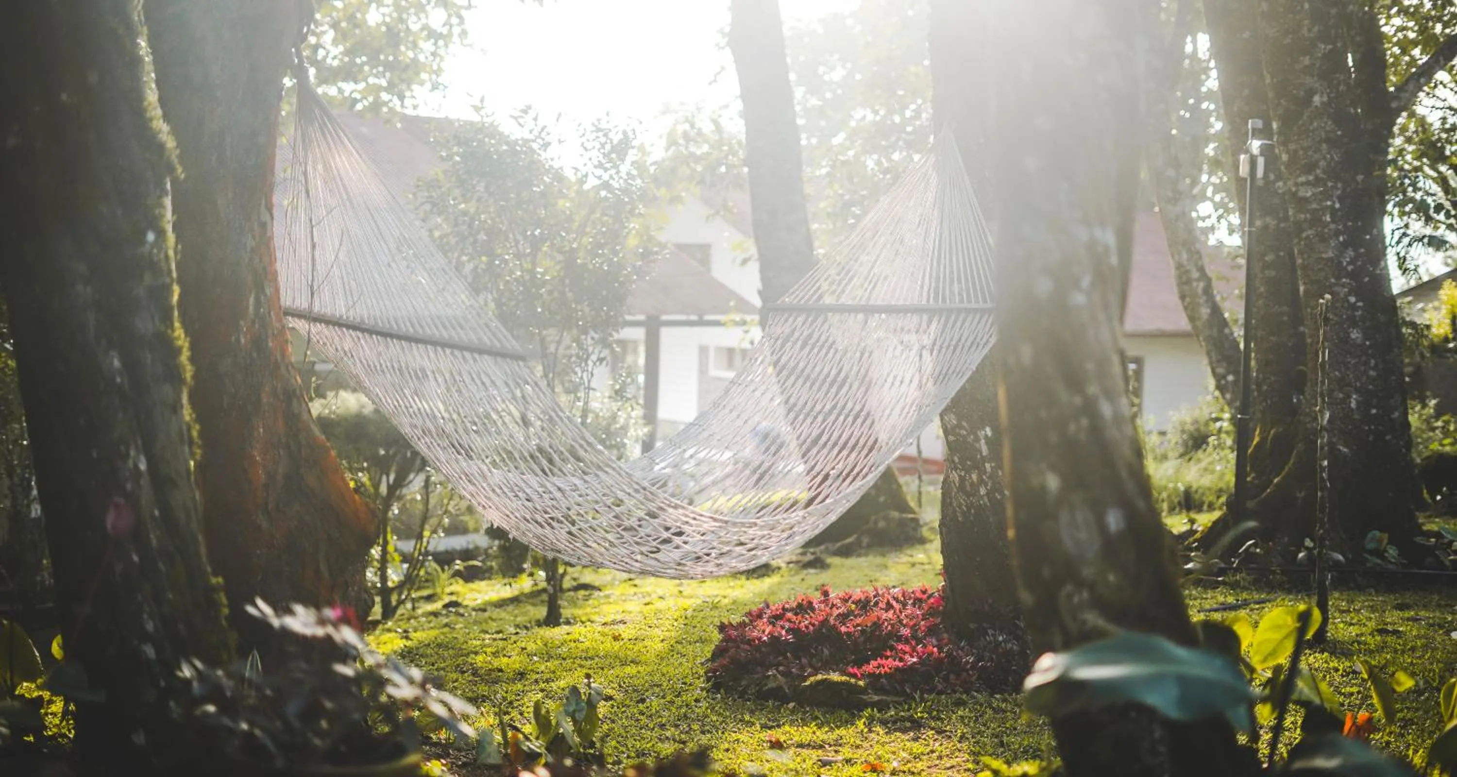 Garden in Windermere Estate