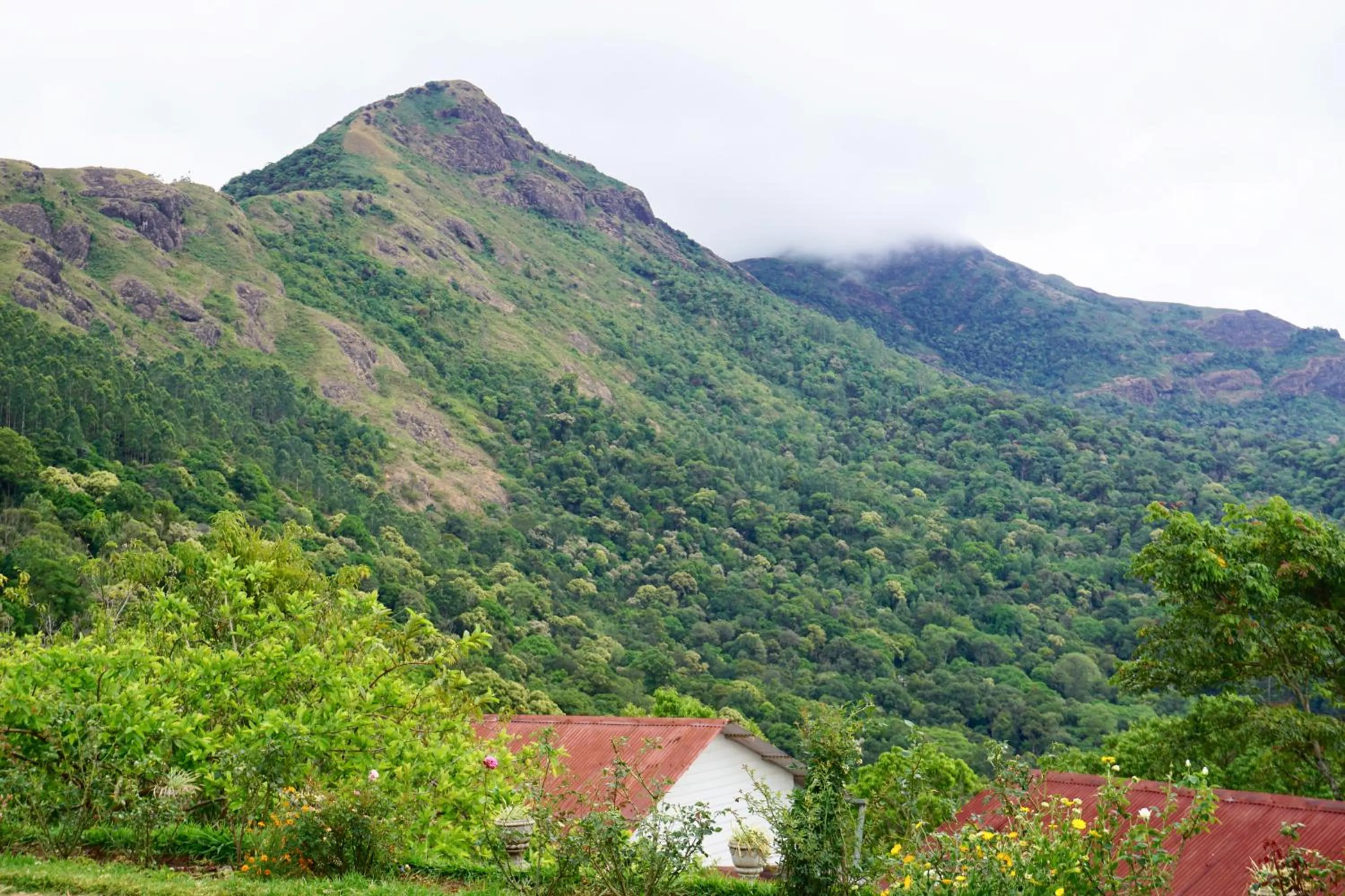 Natural landscape in Windermere Estate