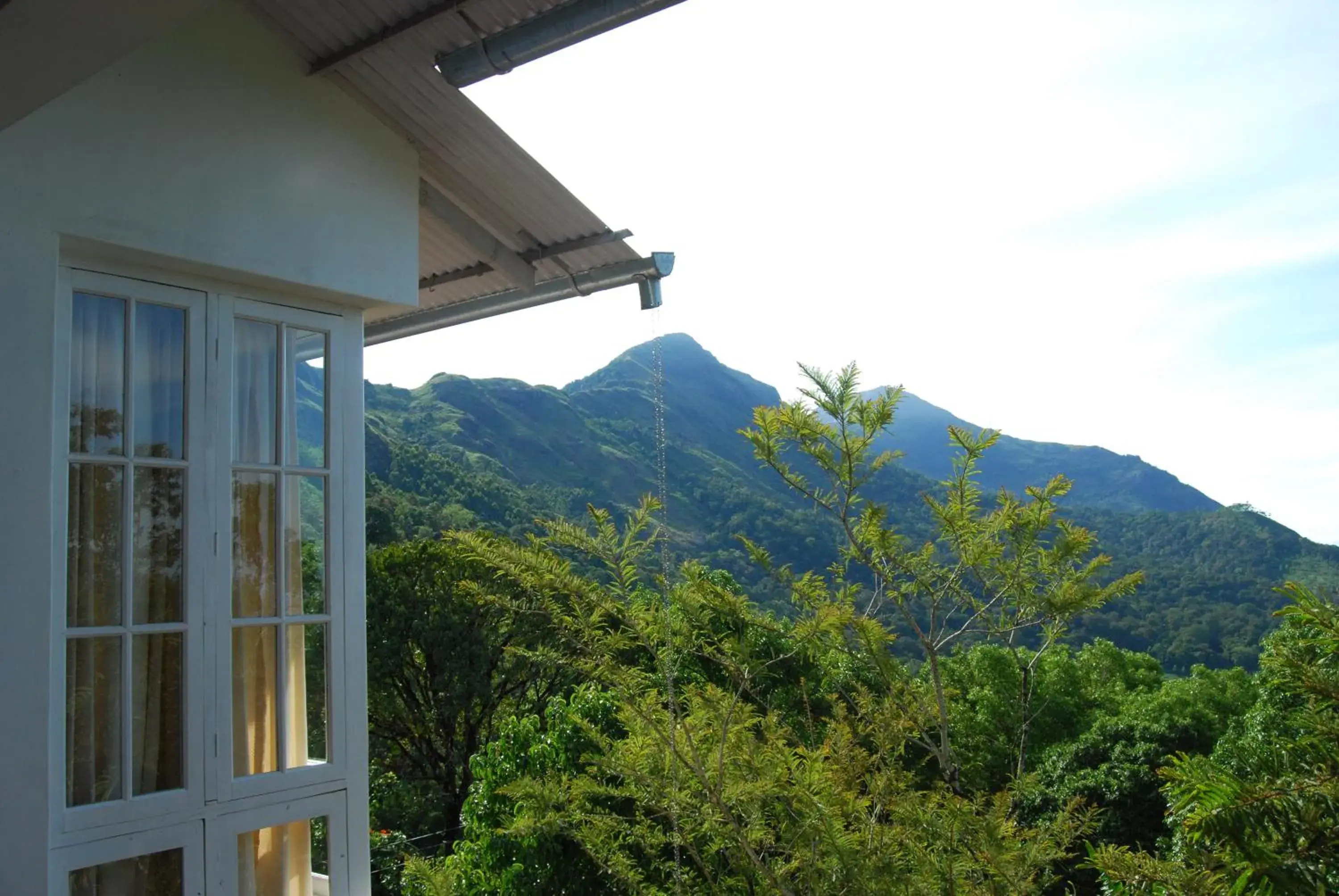 Planters Room in Windermere Estate Planters Room in Windermere Estate