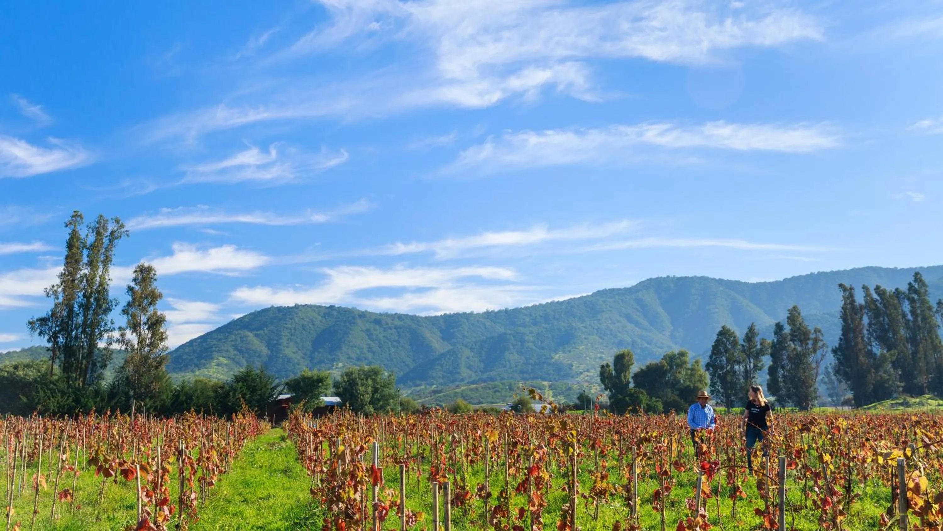 Nearby landmark in Holiday Inn Santiago - Airport Terminal by IHG