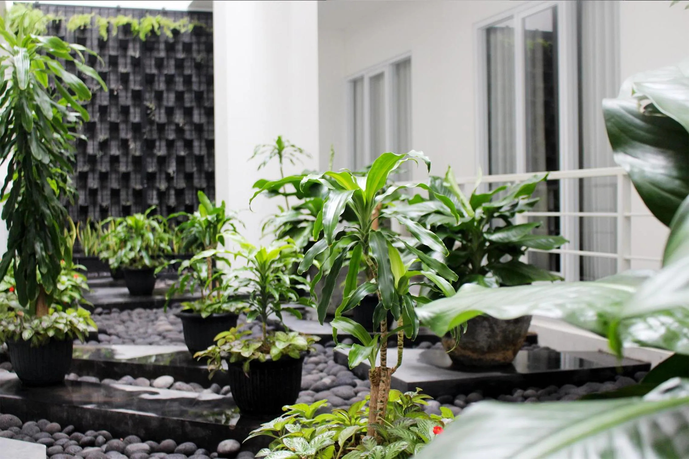 Garden in Bromo Park Hotel Probolinggo