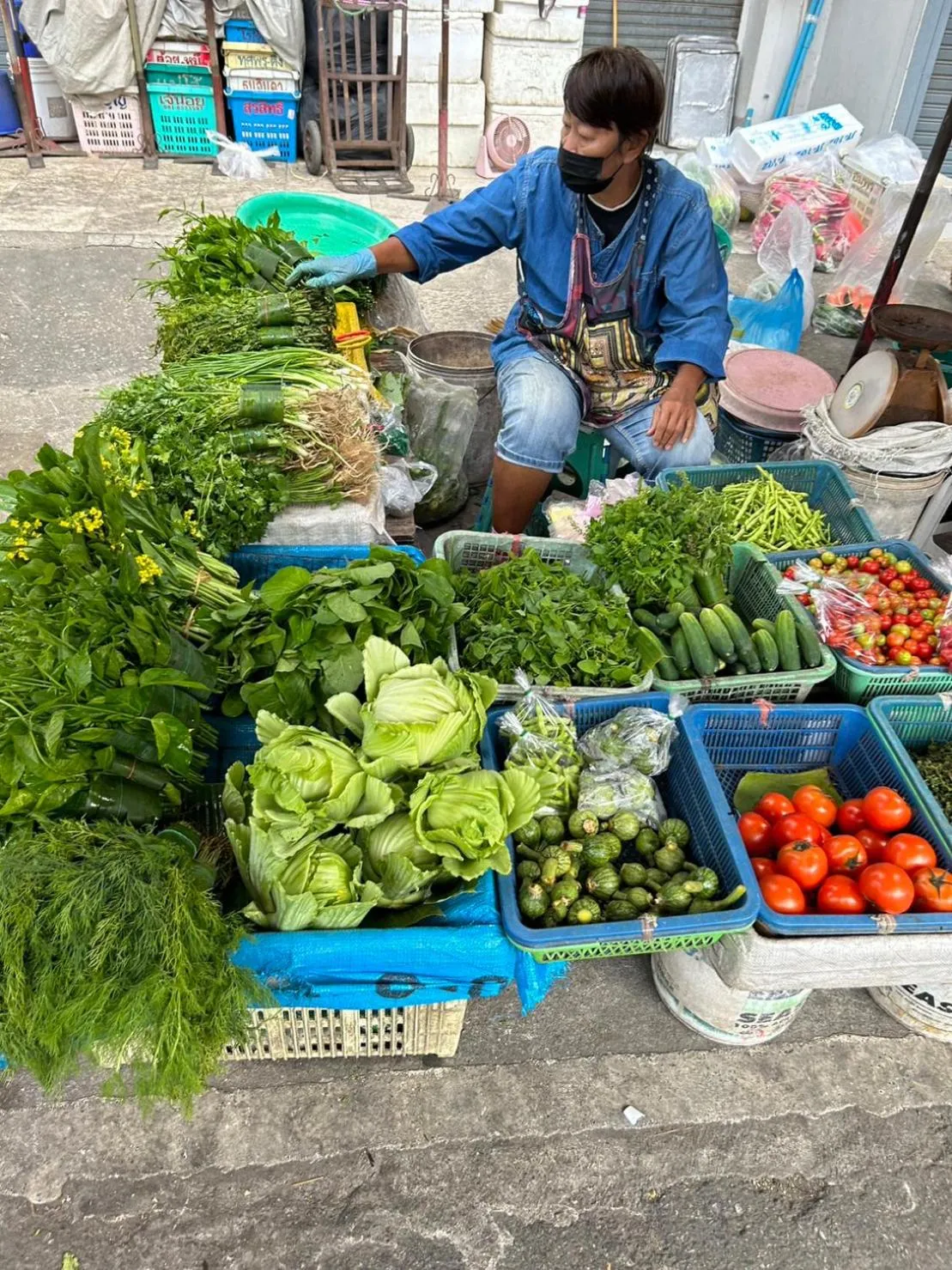 Day in Chiangmai HomeTeL