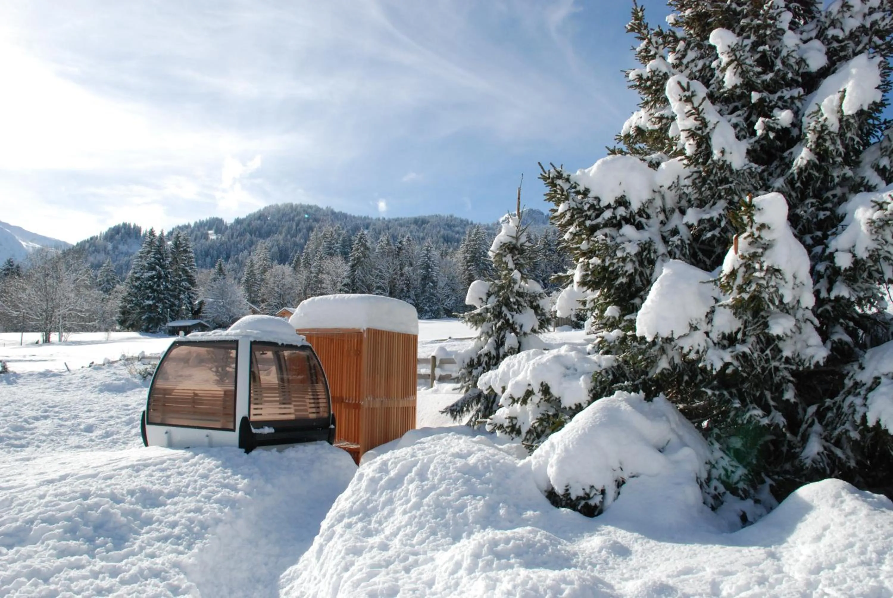 Lenk Lodge - Boutique & Design Hotel und Apartements