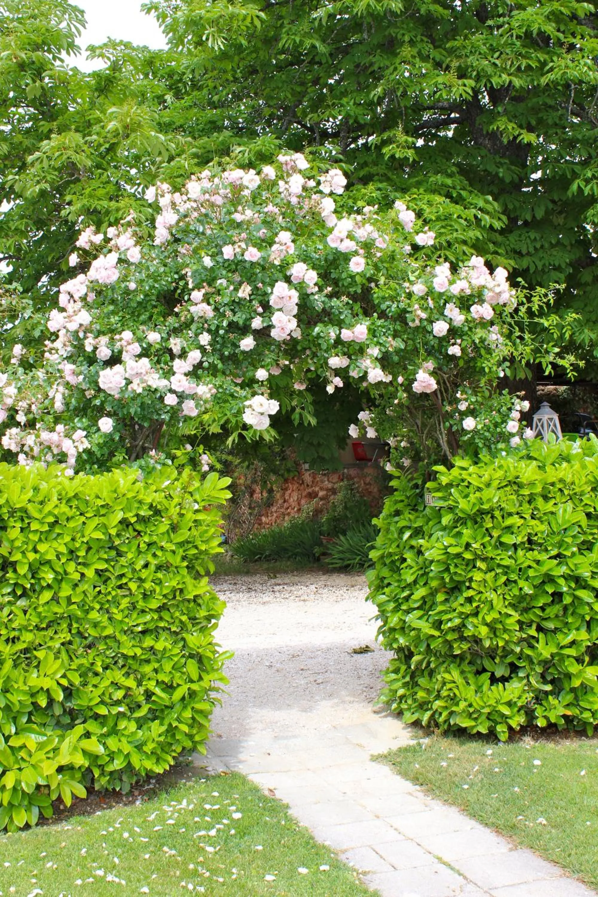Garden in B&B La Badelle