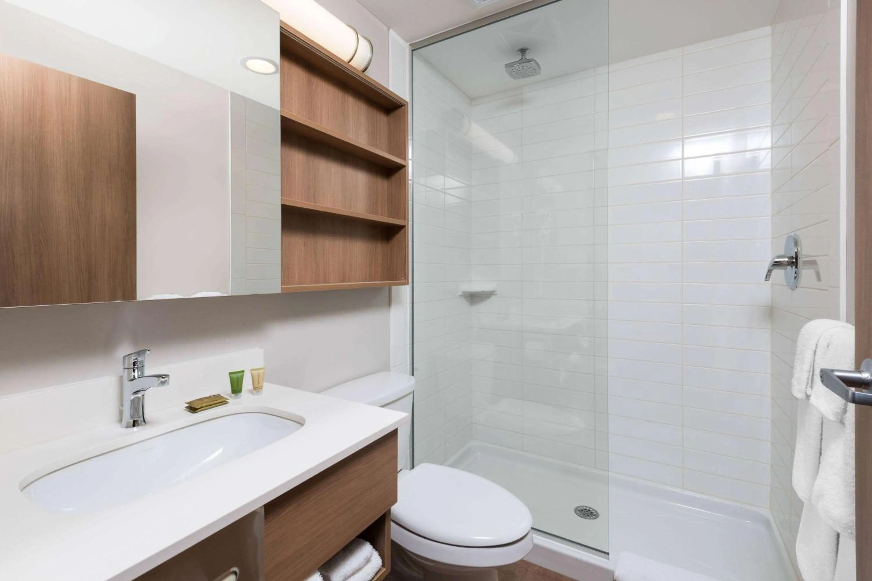 Bathroom in Microtel Inn & Suites by Wyndham Sudbury