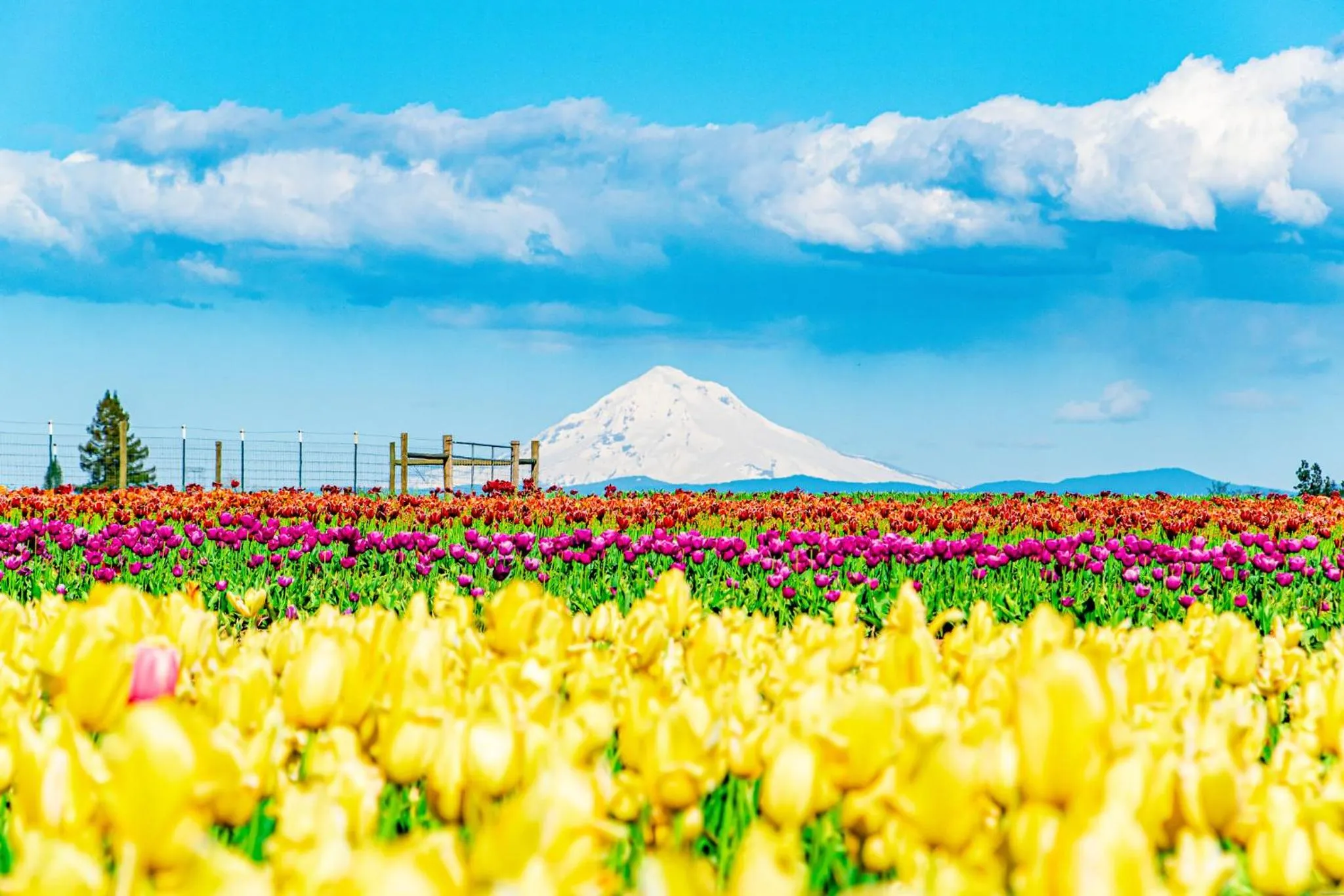 Nearby landmark in Holiday Inn Portland- I-5 S Wilsonville by IHG