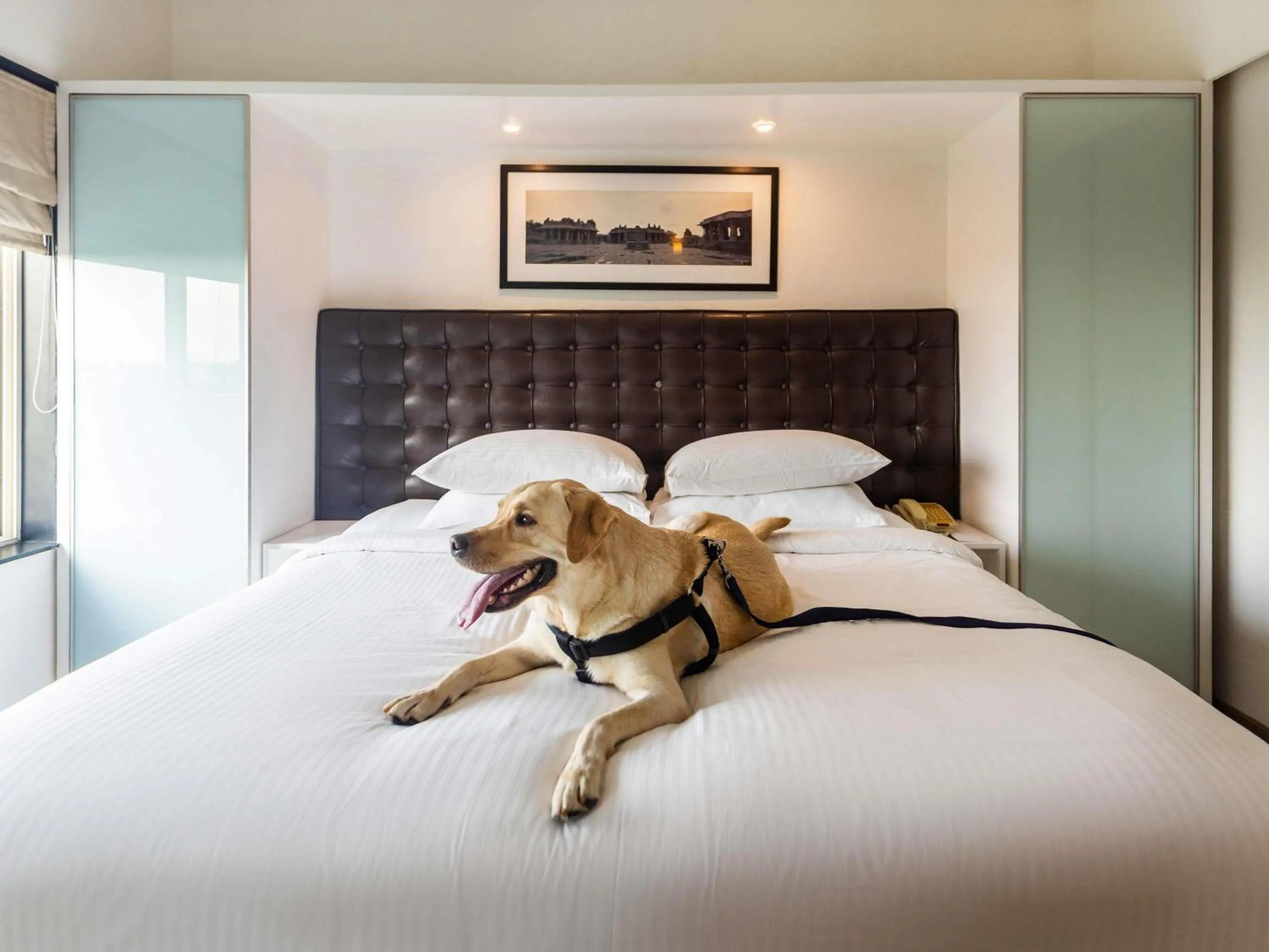 Bedroom, Bed in Grand Mercure Bangalore - An Accor Brand