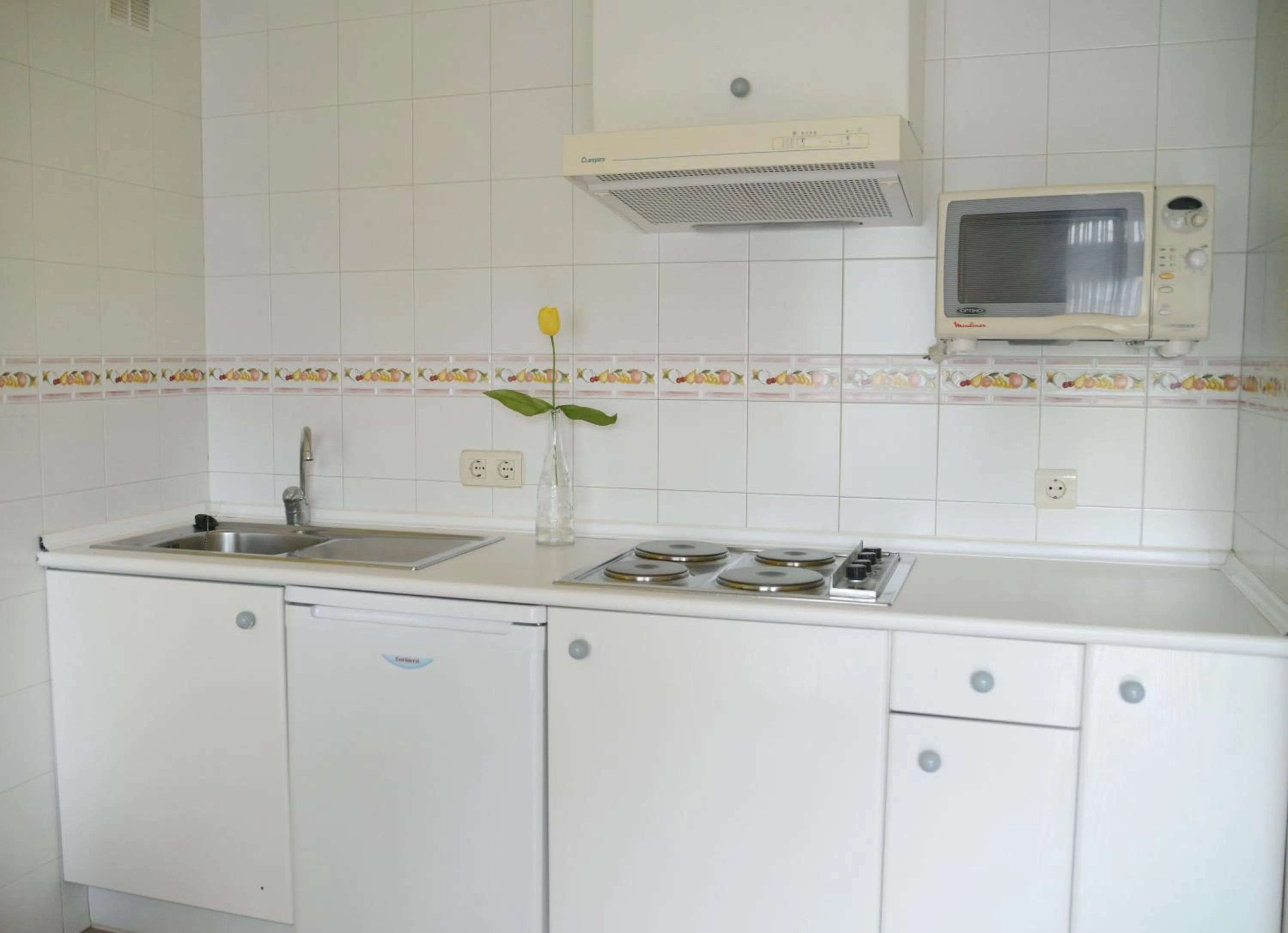 Kitchen or kitchenette in Apartamentos Marina