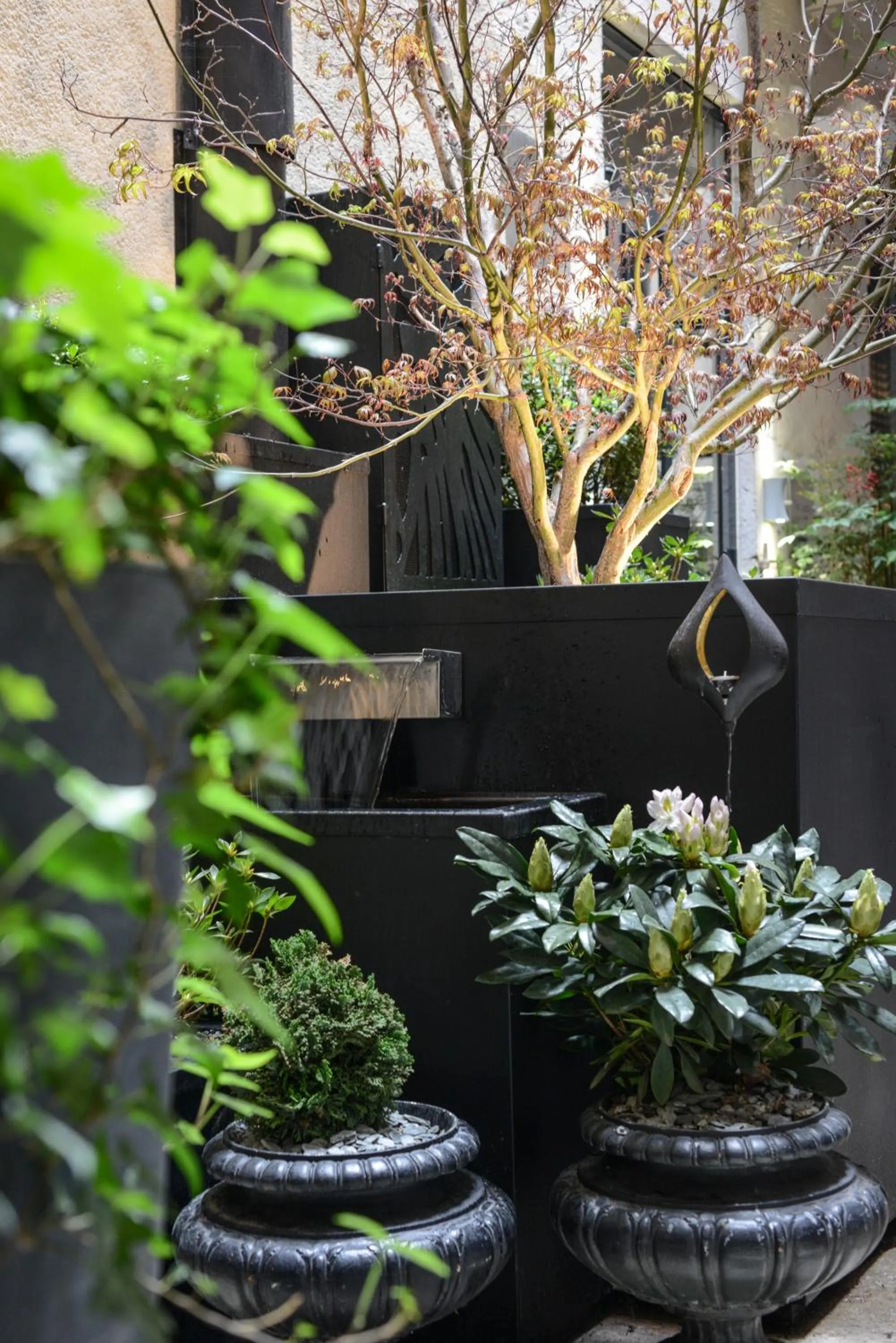 Patio in Petit Hôtel Confidentiel