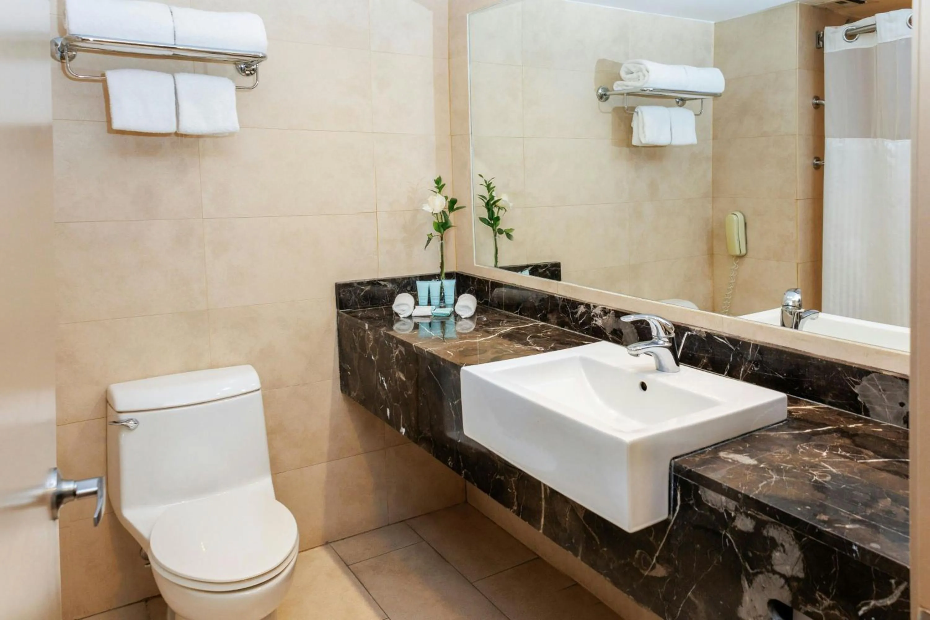 Bathroom in Hotel Plaza Santiago