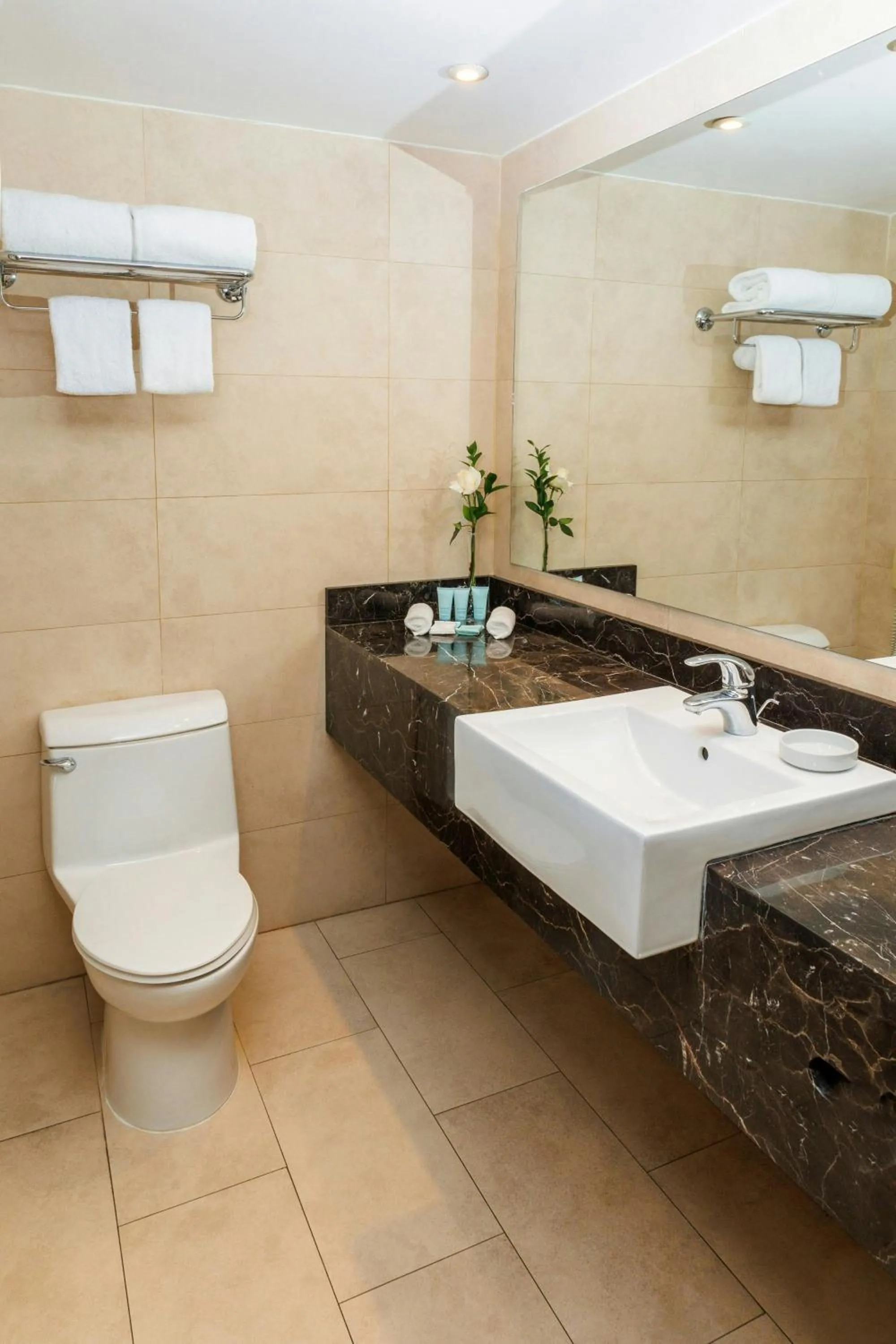 Bathroom in Hotel Plaza Santiago