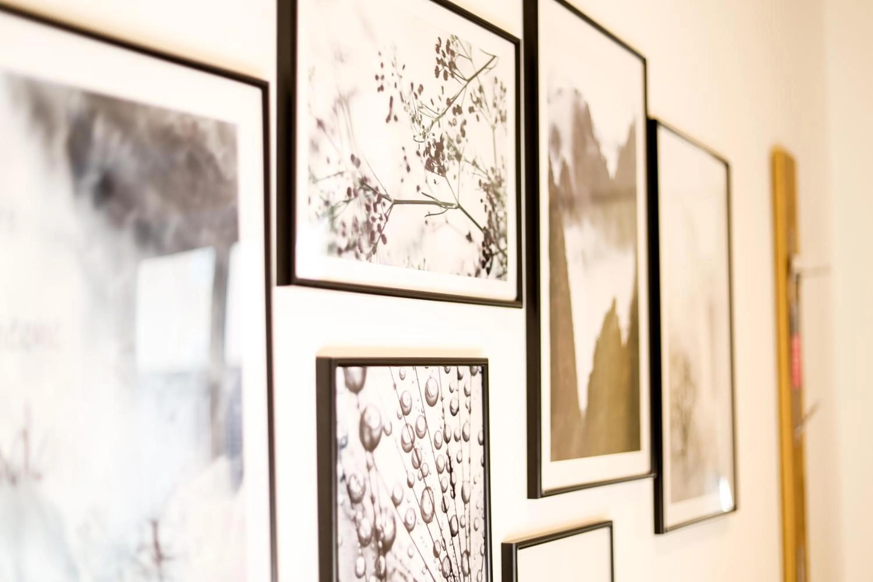 Gästehaus zur Linde