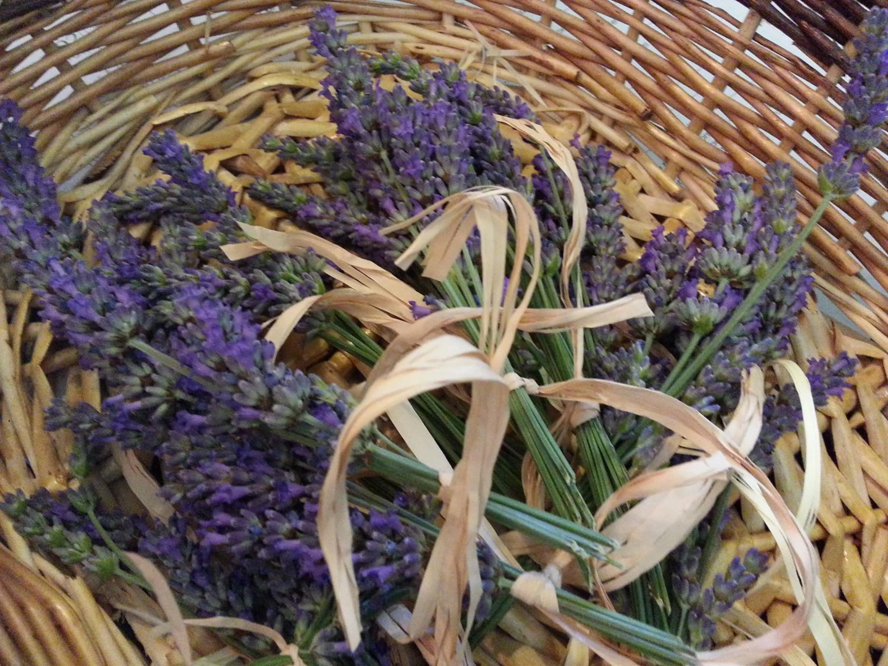 Chiostro Delle Monache Hostel Volterra